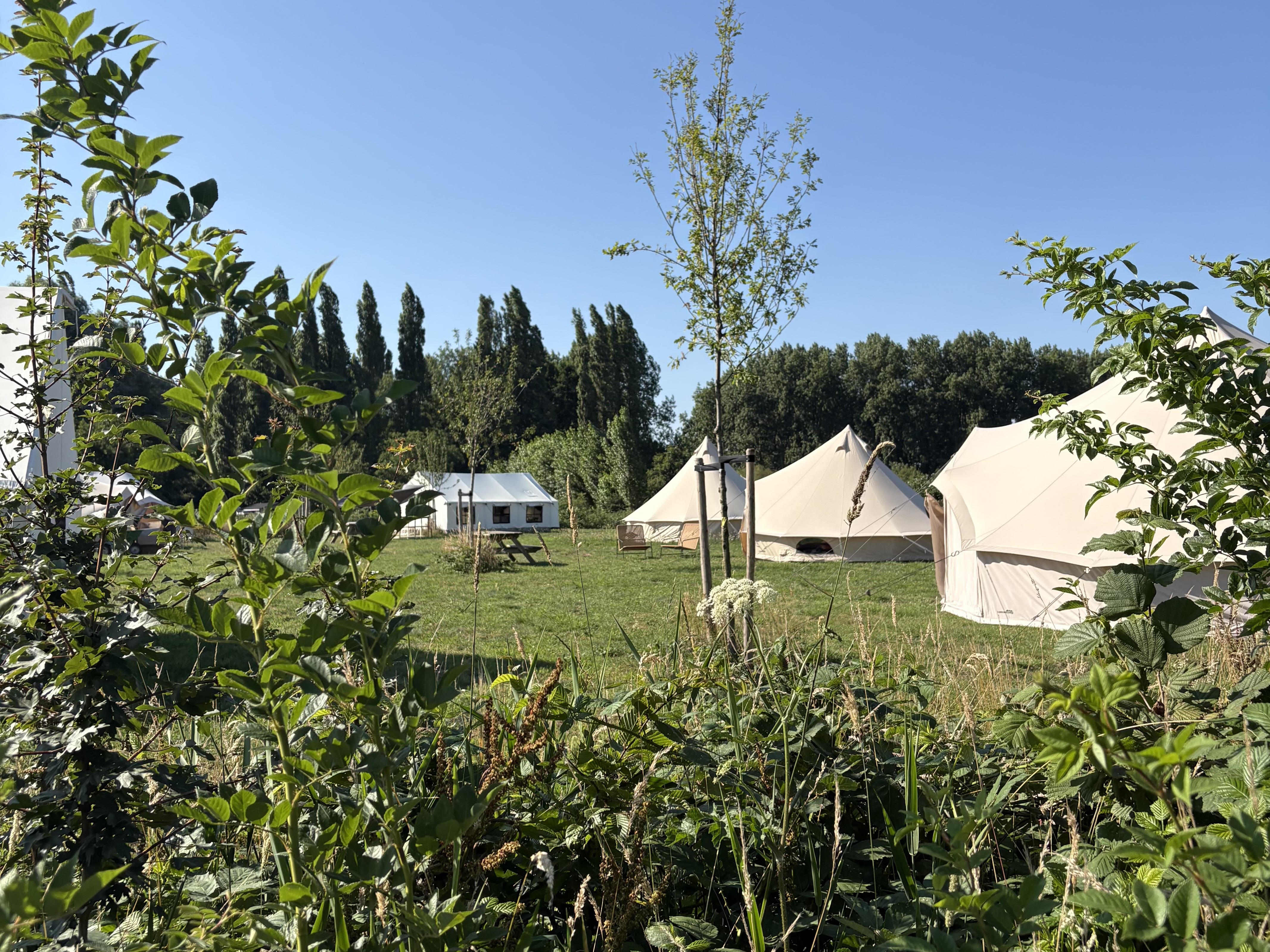 De mooiste campings in Zuid-Holland — met Camping de Achtertuin in de spotlight