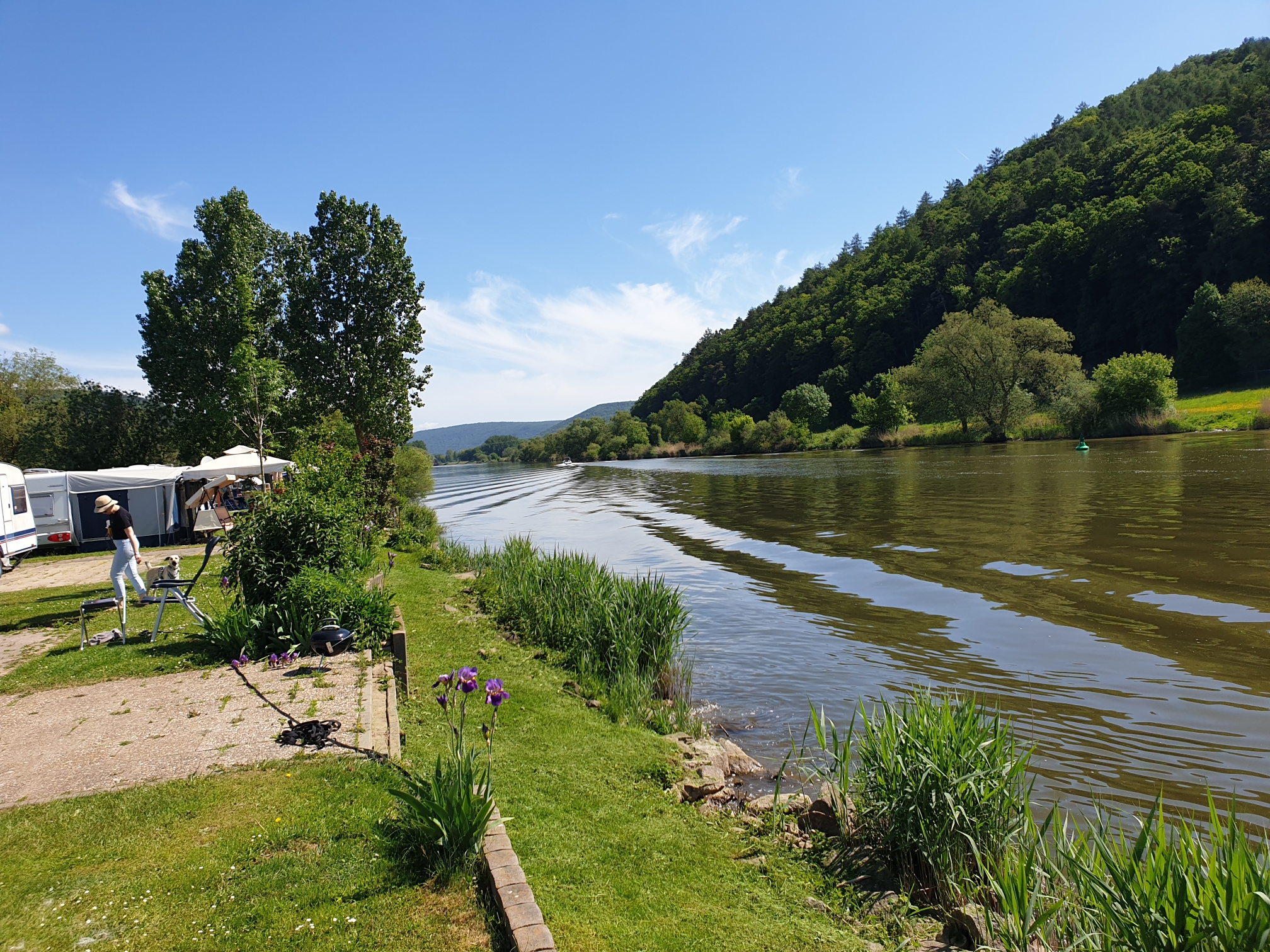 Campingplatz Mainufer (2)