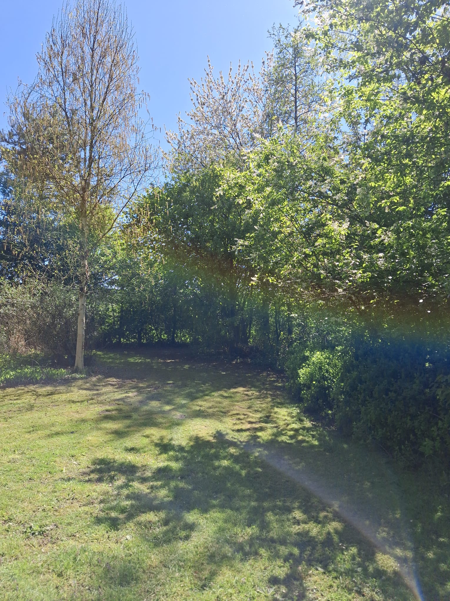 Hof de Linden (2)