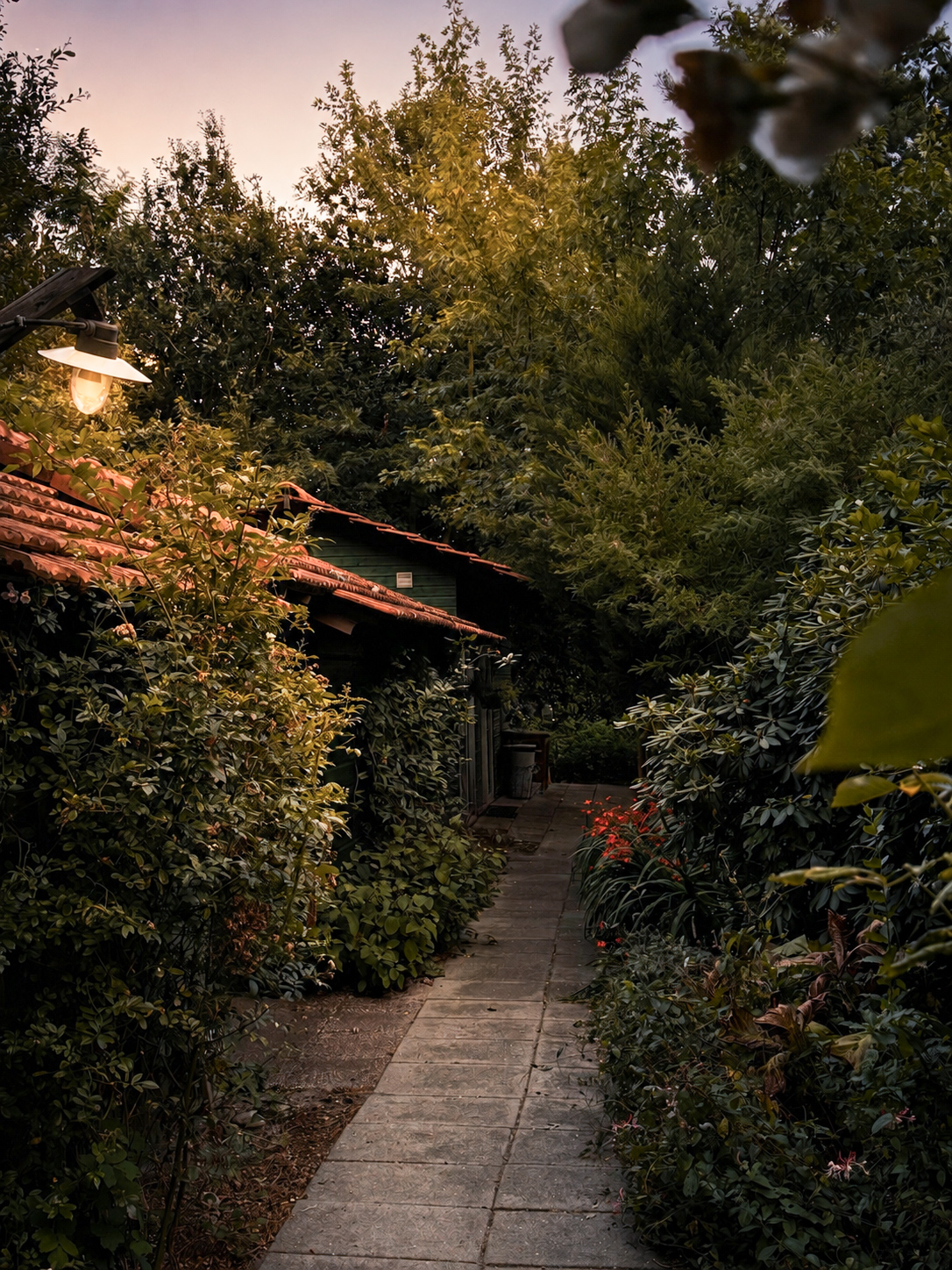 Hof de Linden (5)