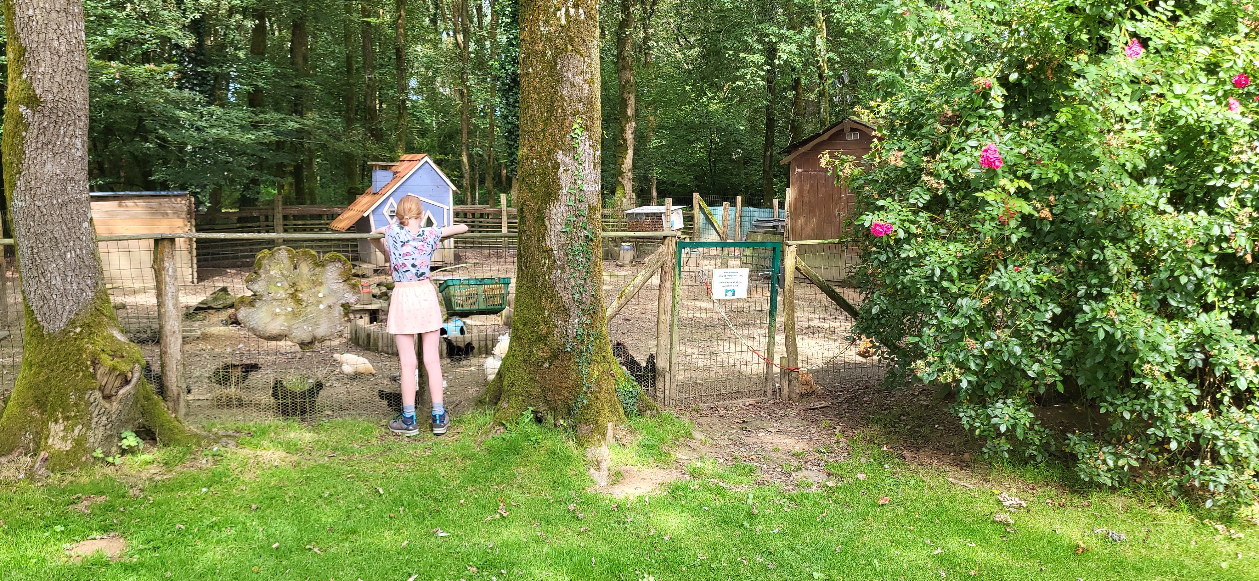 Camping Le Bois de Beaumard (3)