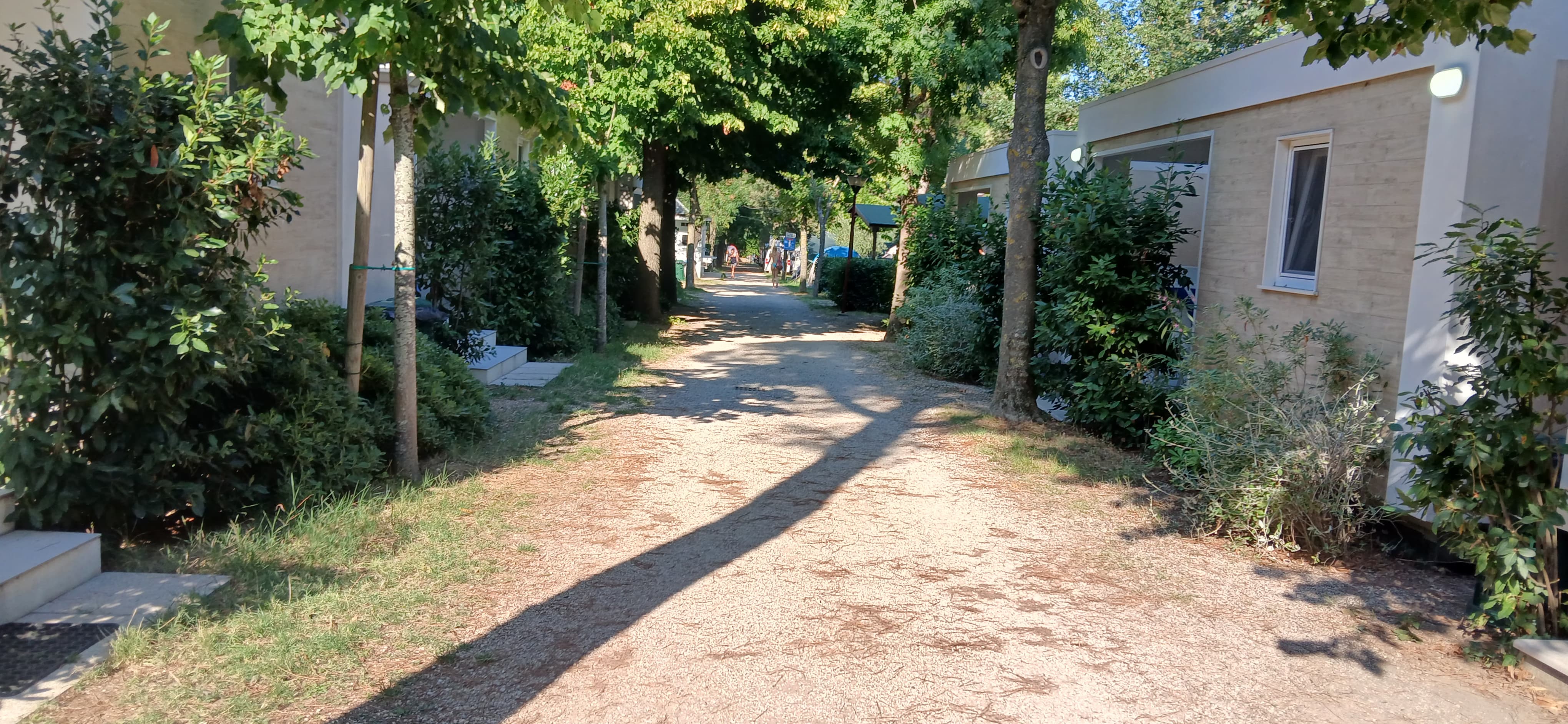 Panorama (11)