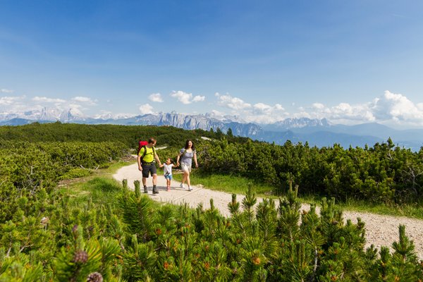 Camping SchartnerAlm (3)