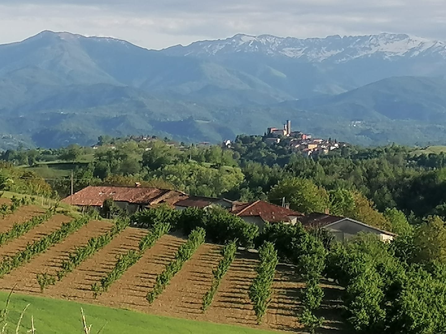 Agricampeggio Cascina Zanot (8)