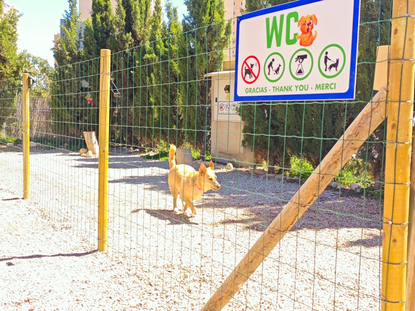 Camper Area 7 (5)
