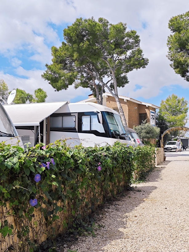 Camper Area 7 (8)