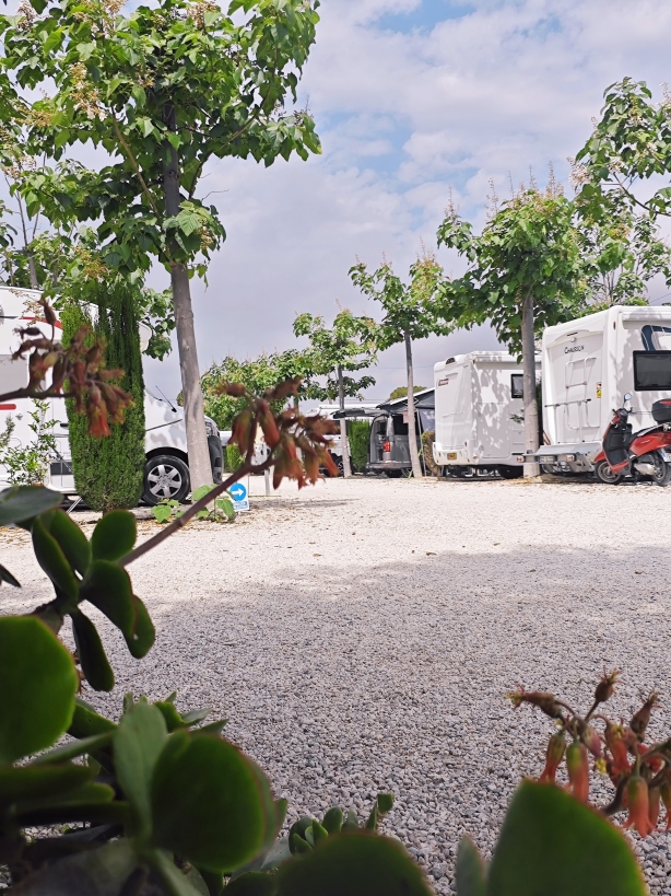 Camper Area 7 (11)