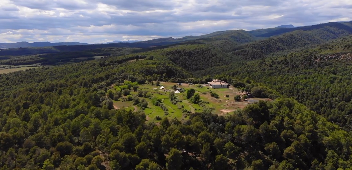 Forest Days Glamping (1)