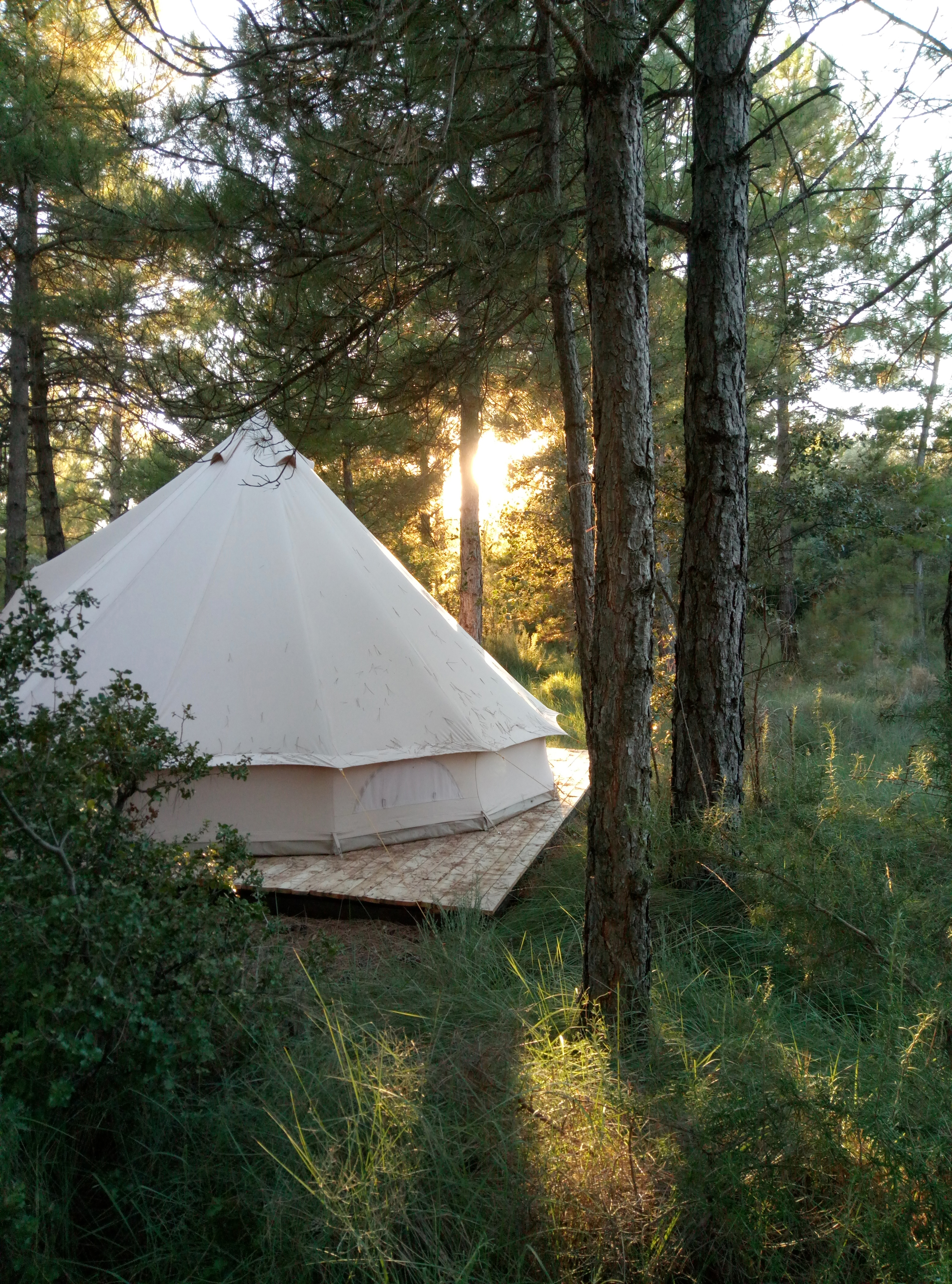 Forest Days Glamping (7)