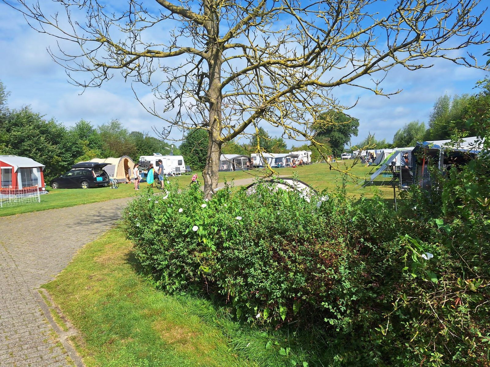 Charmecamping & Appartementen De Regge-Vallei (2)
