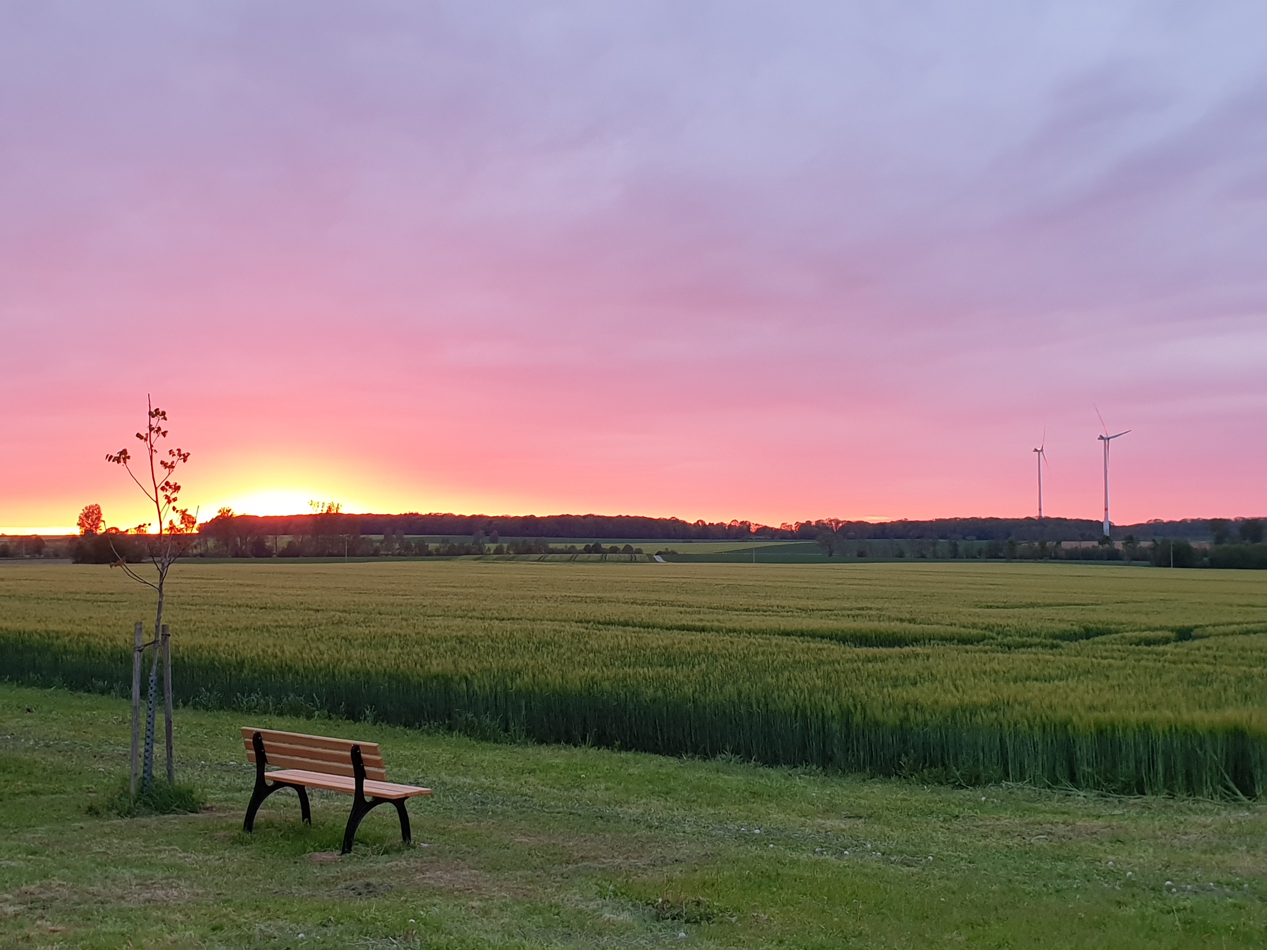 Camping Paradies Franken (2)