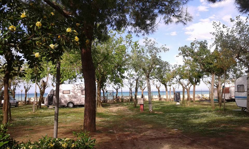 Camping International Torre Cerrano (3)