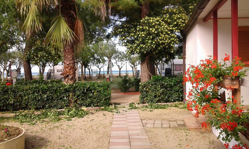 Camping International Torre Cerrano (4)