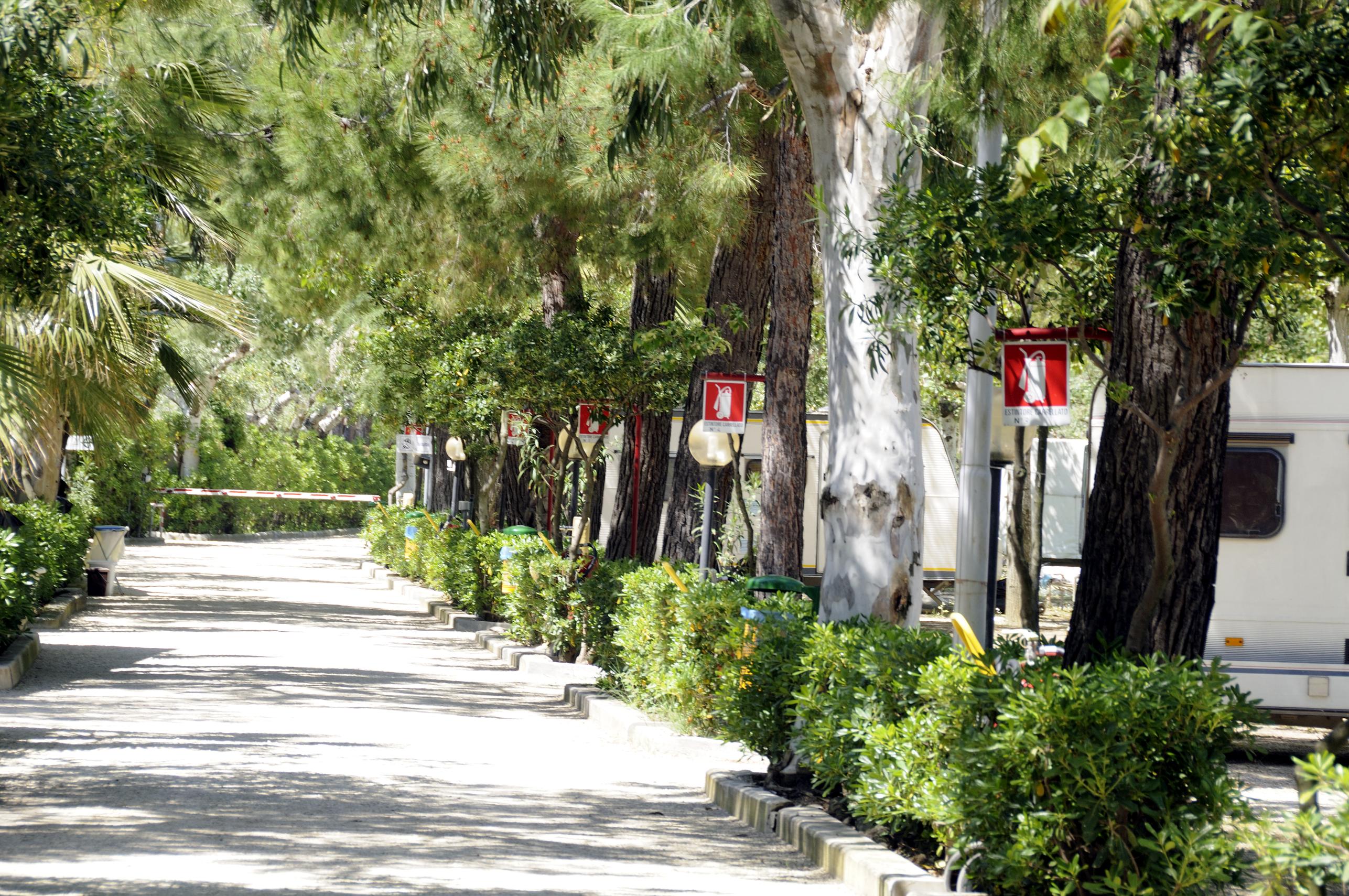 Camping International Torre Cerrano (6)