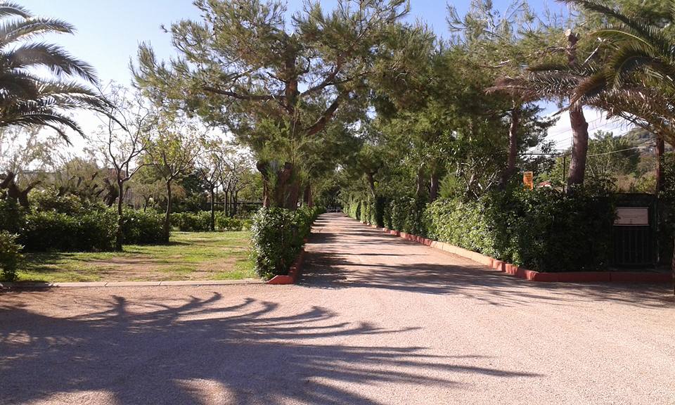 Camping International Torre Cerrano (7)