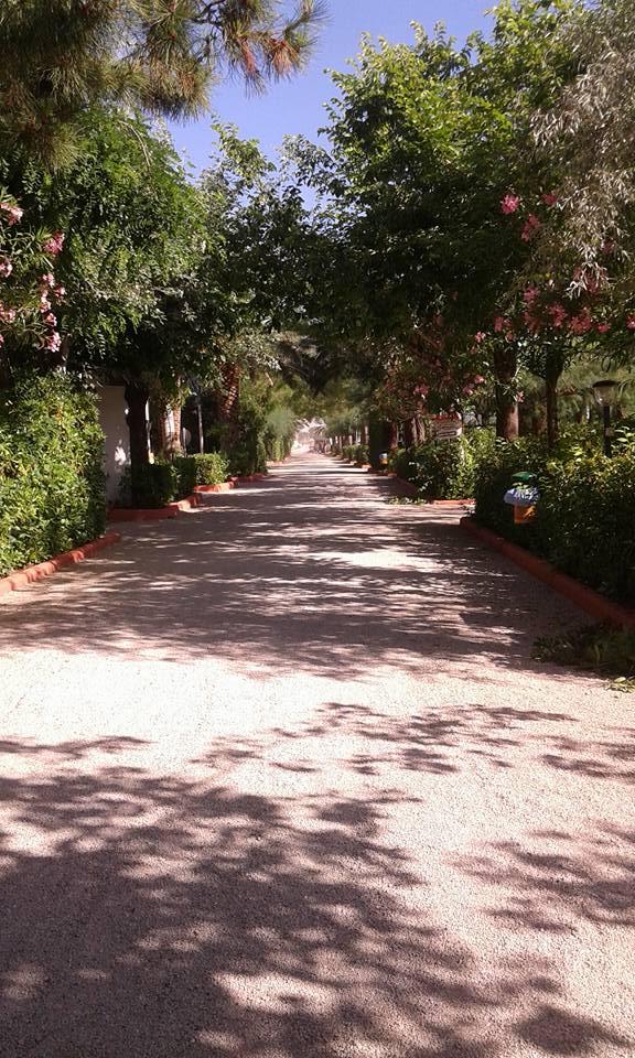 Camping International Torre Cerrano (8)