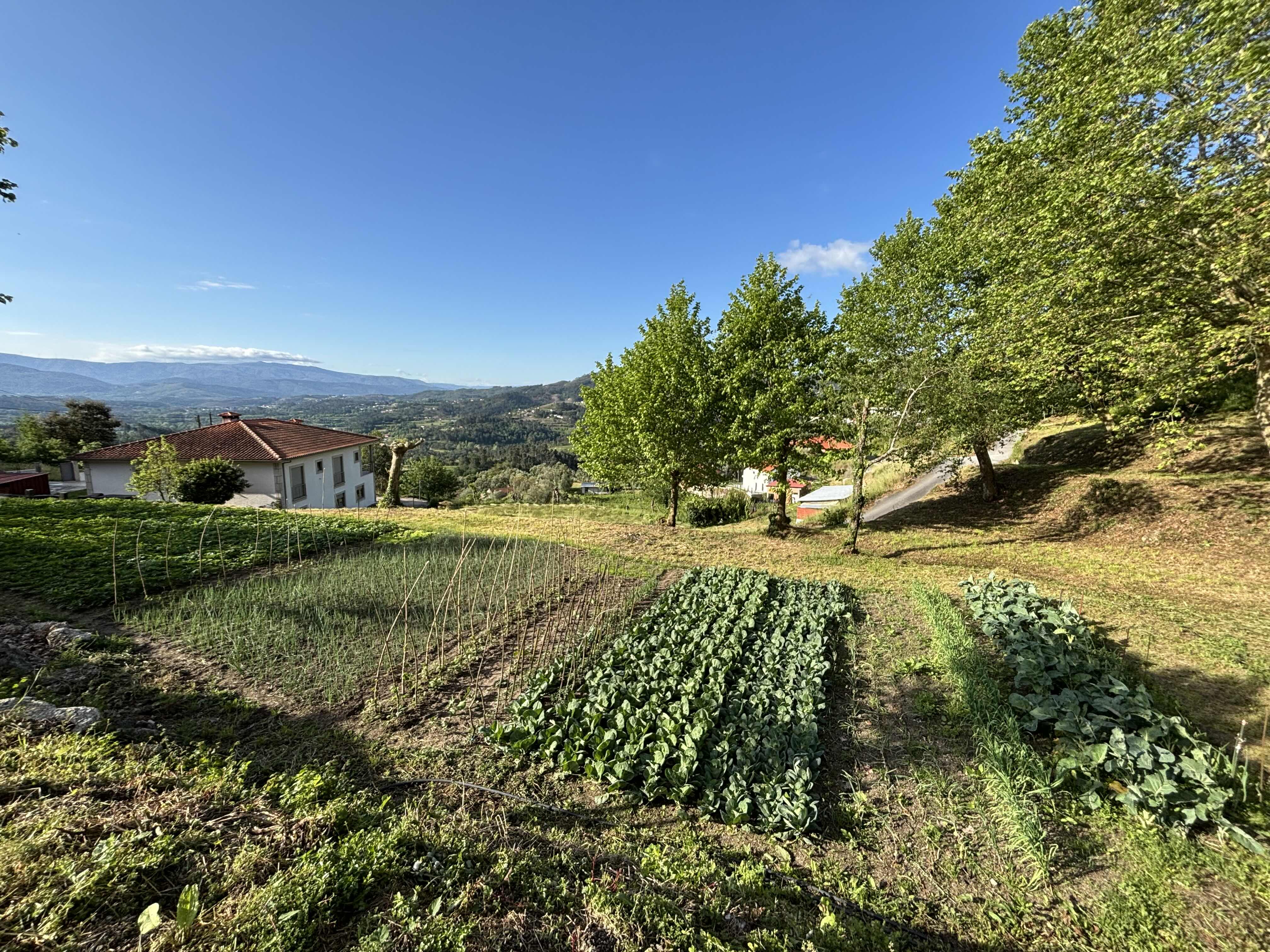 Camping Quinta Valbom (3)