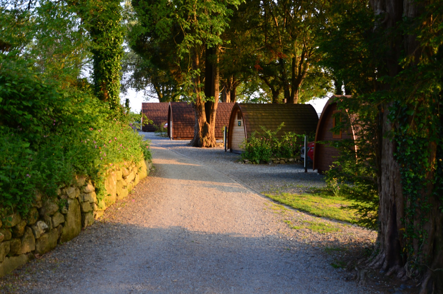 Camping Langstone Manor Park (1)