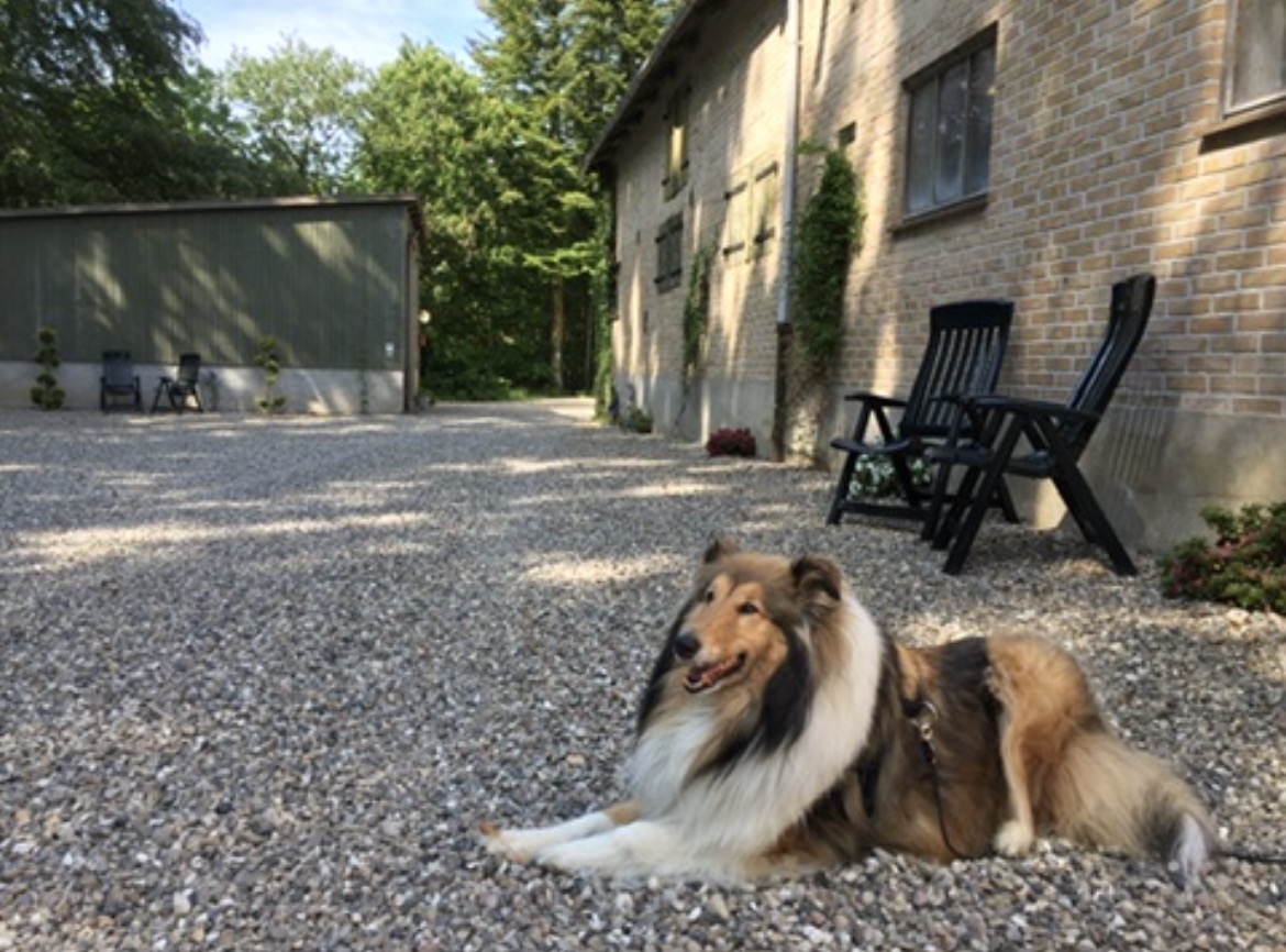CamperParken (4)
