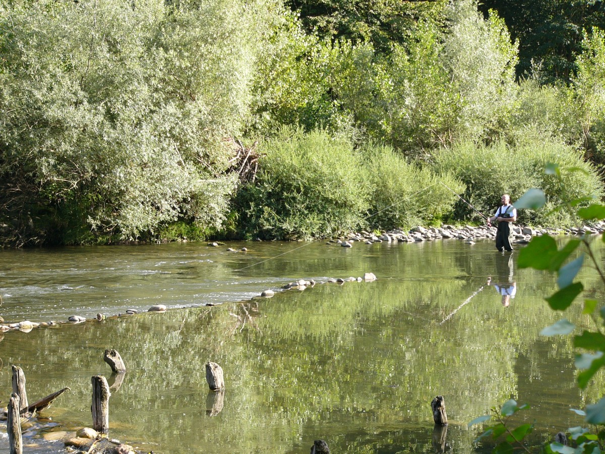 Le Moulin (1)