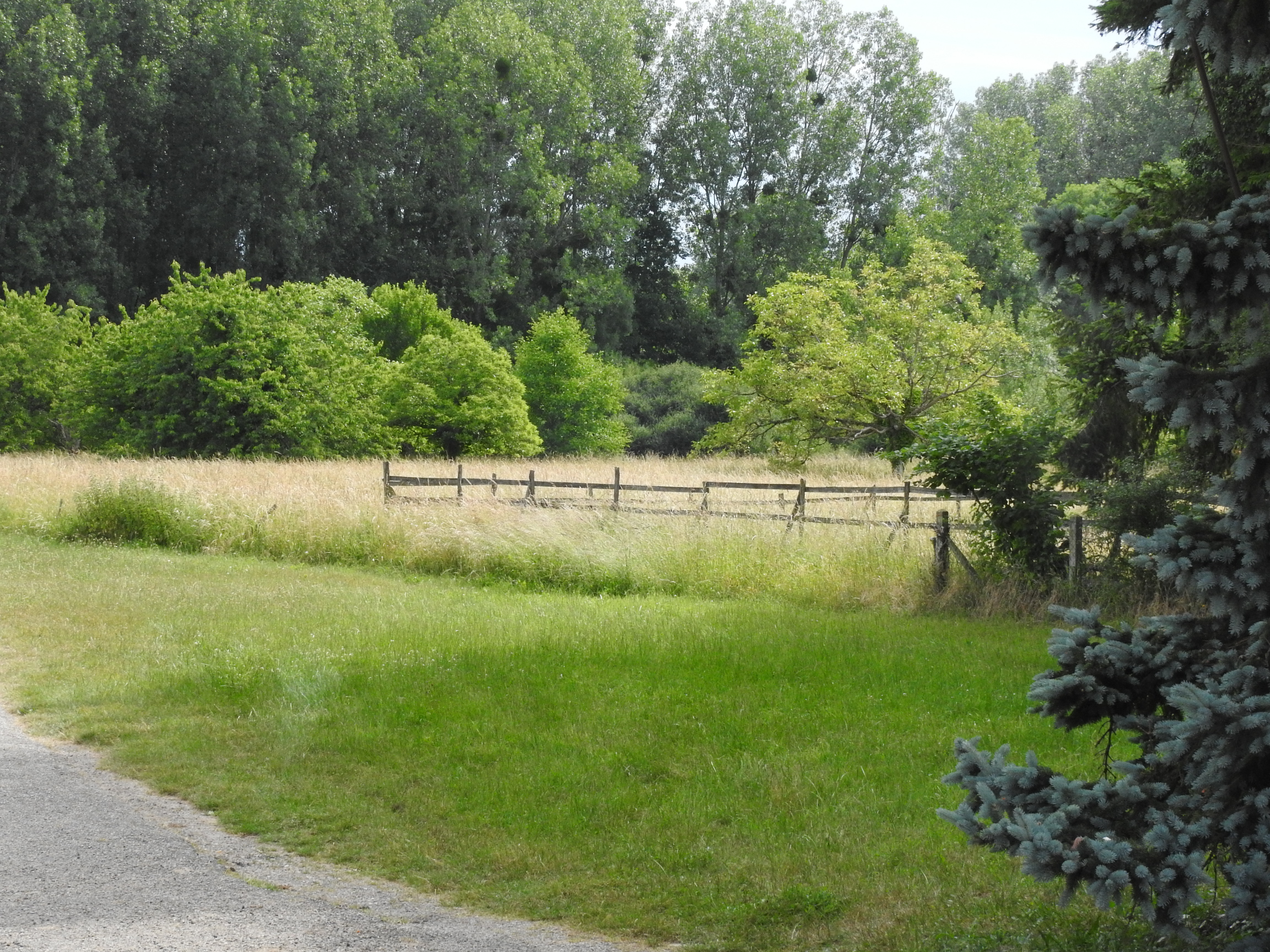 Domaine de la Méchinière (4)