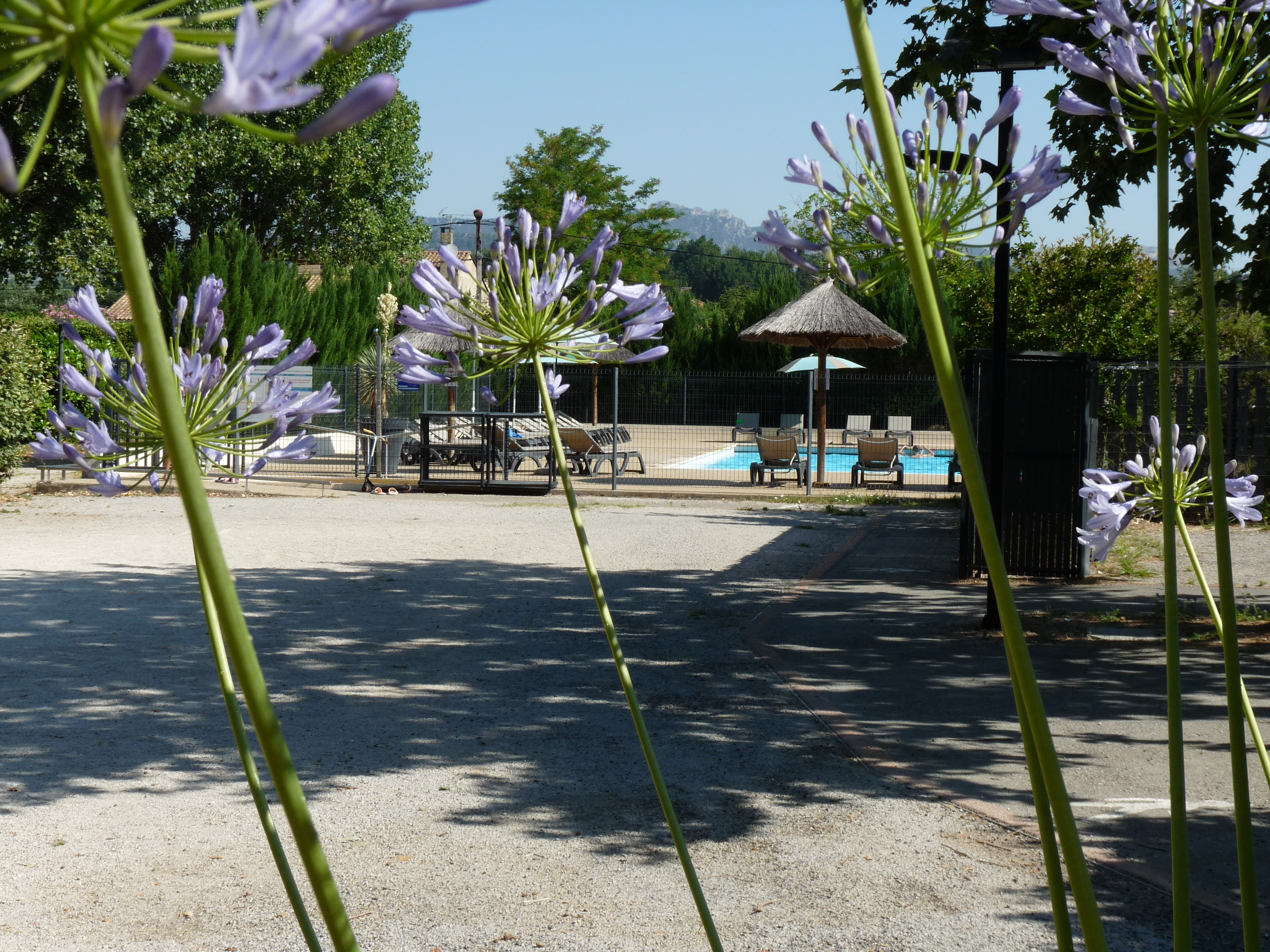 Camping Le Brégoux (2)