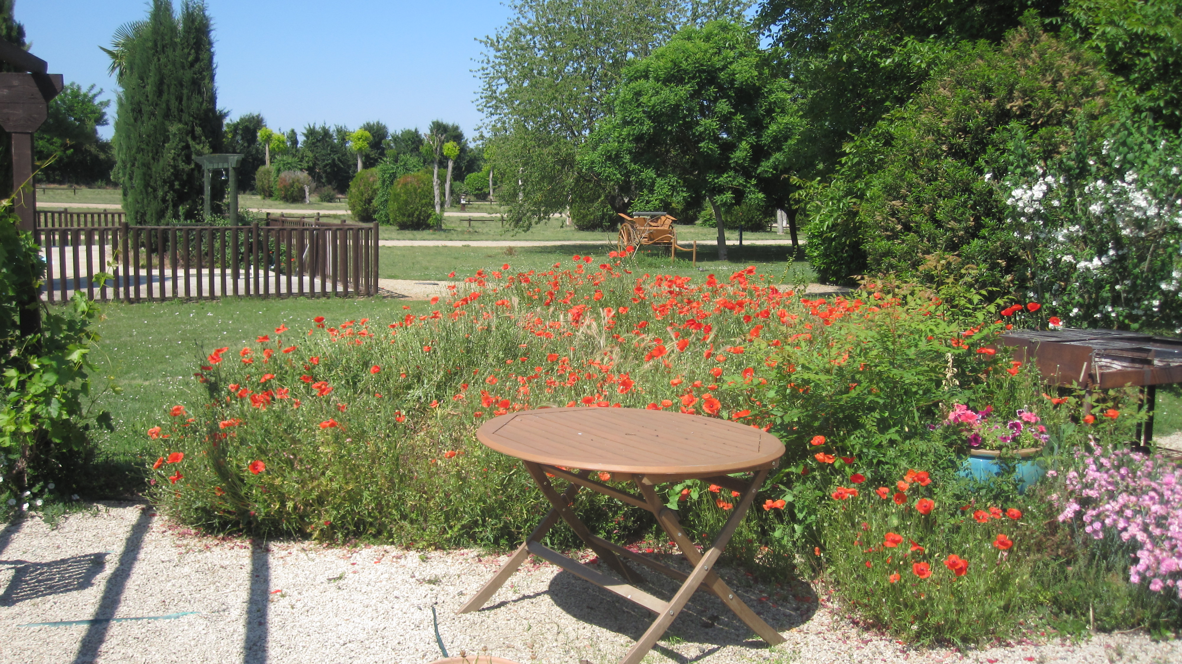 Camping de Courte Vallee (5)