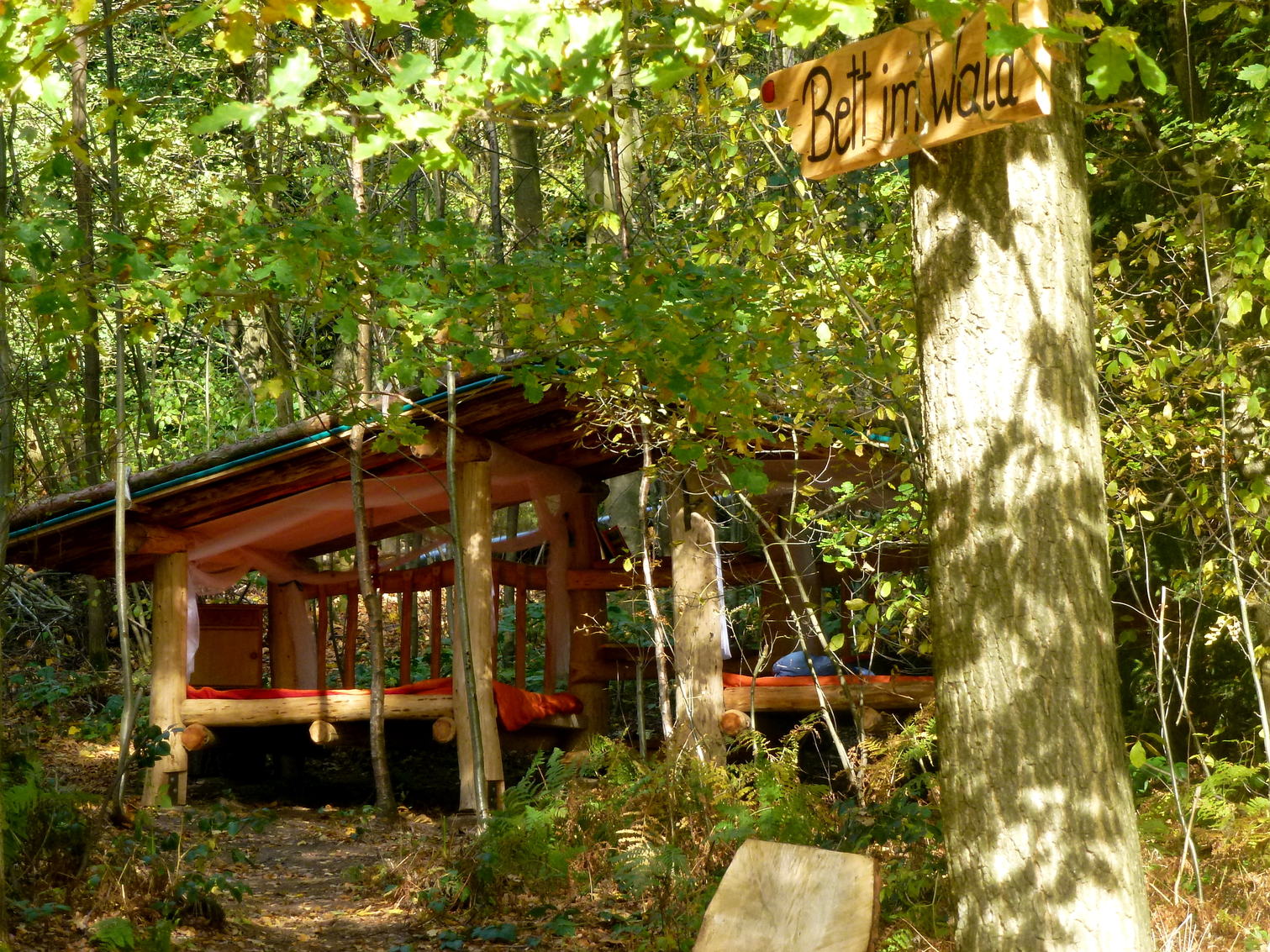 Waldcamping Thalheim (5)