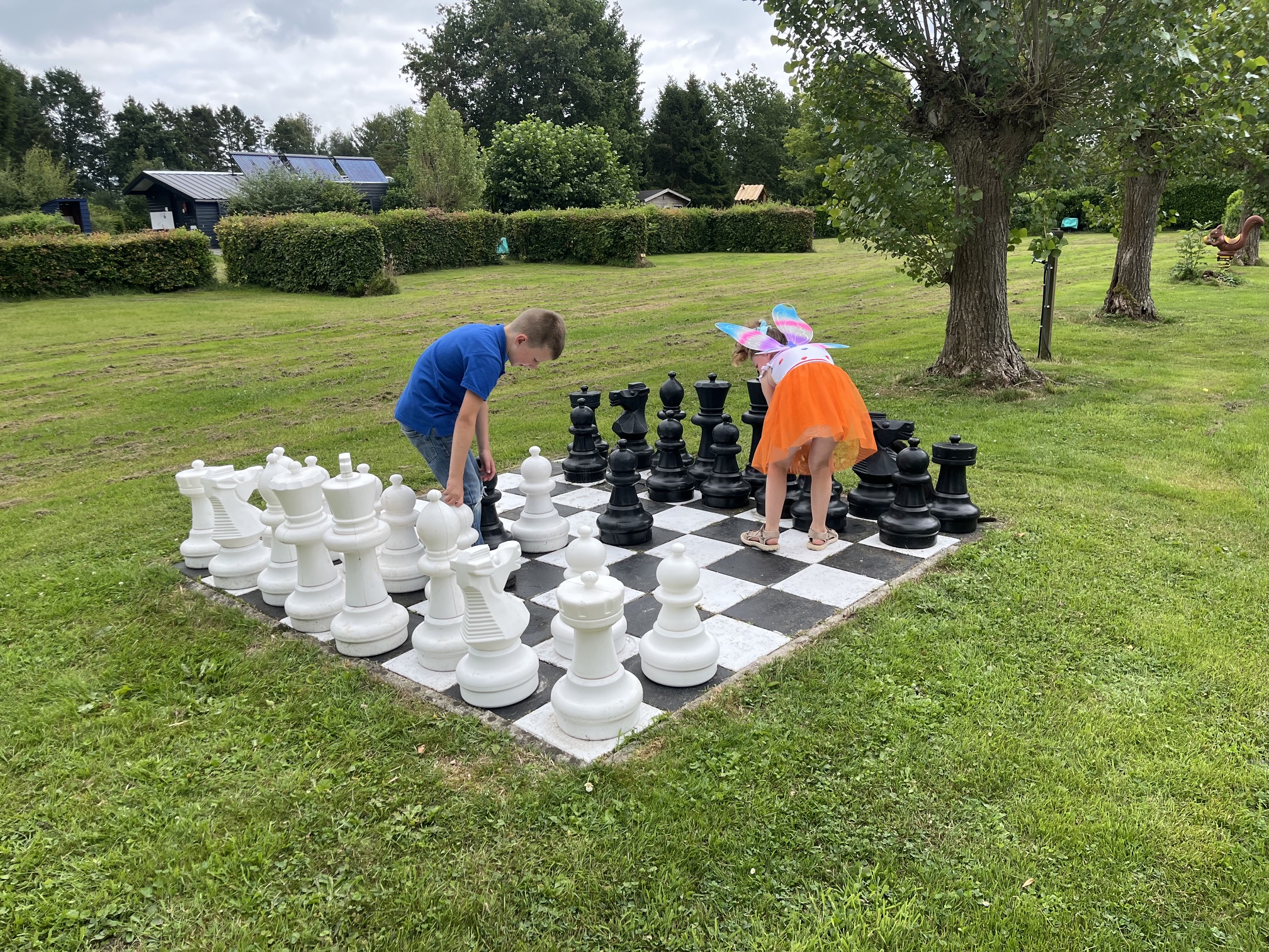Camping BuitenRijk (5)