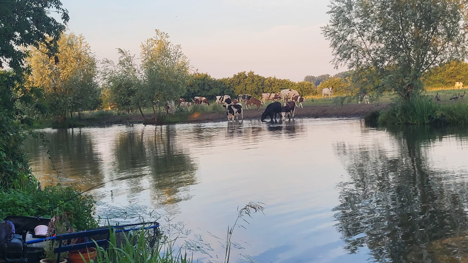 Camping aan de Linge (3)