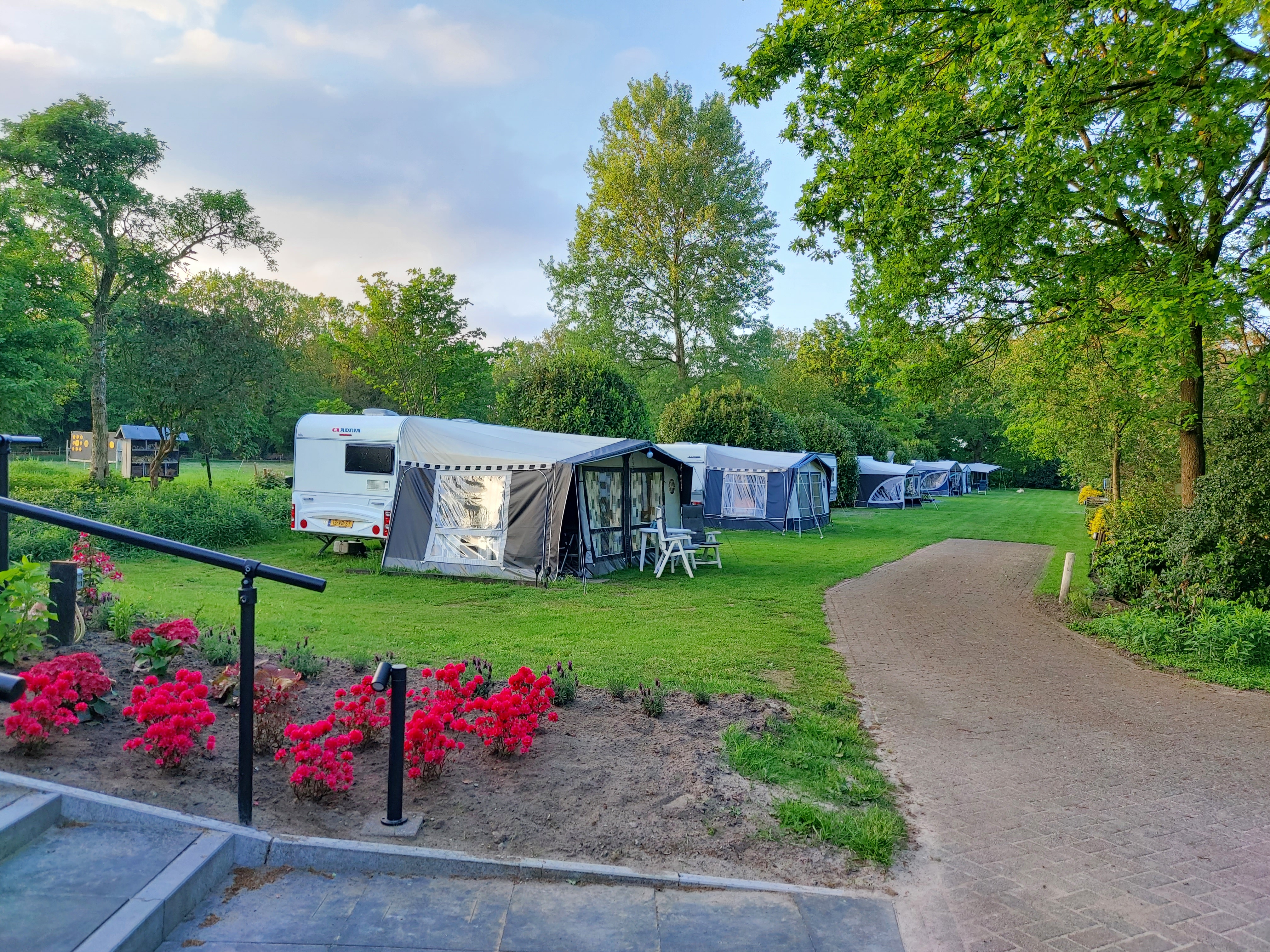 Camping Madeliefje (1)