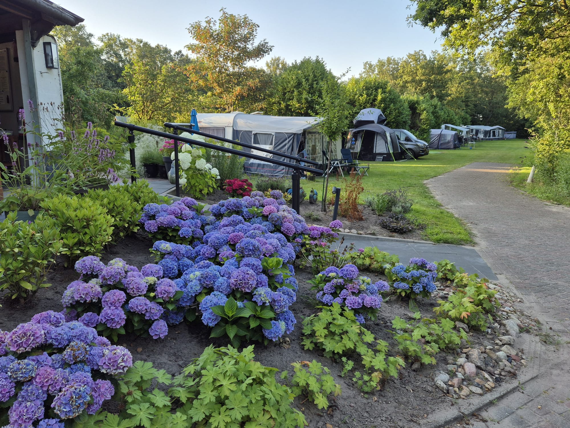 Camping Madeliefje (6)