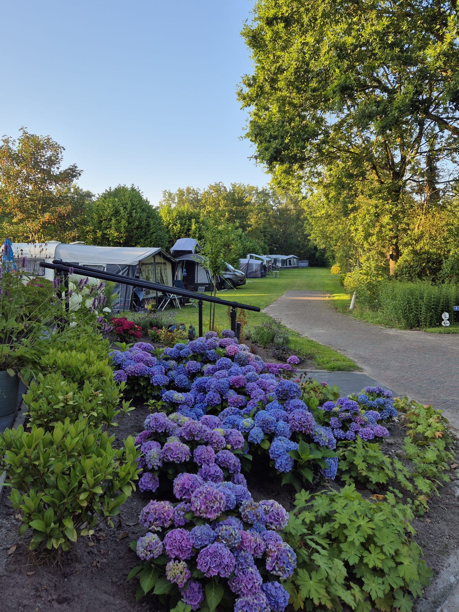 Camping Madeliefje (8)