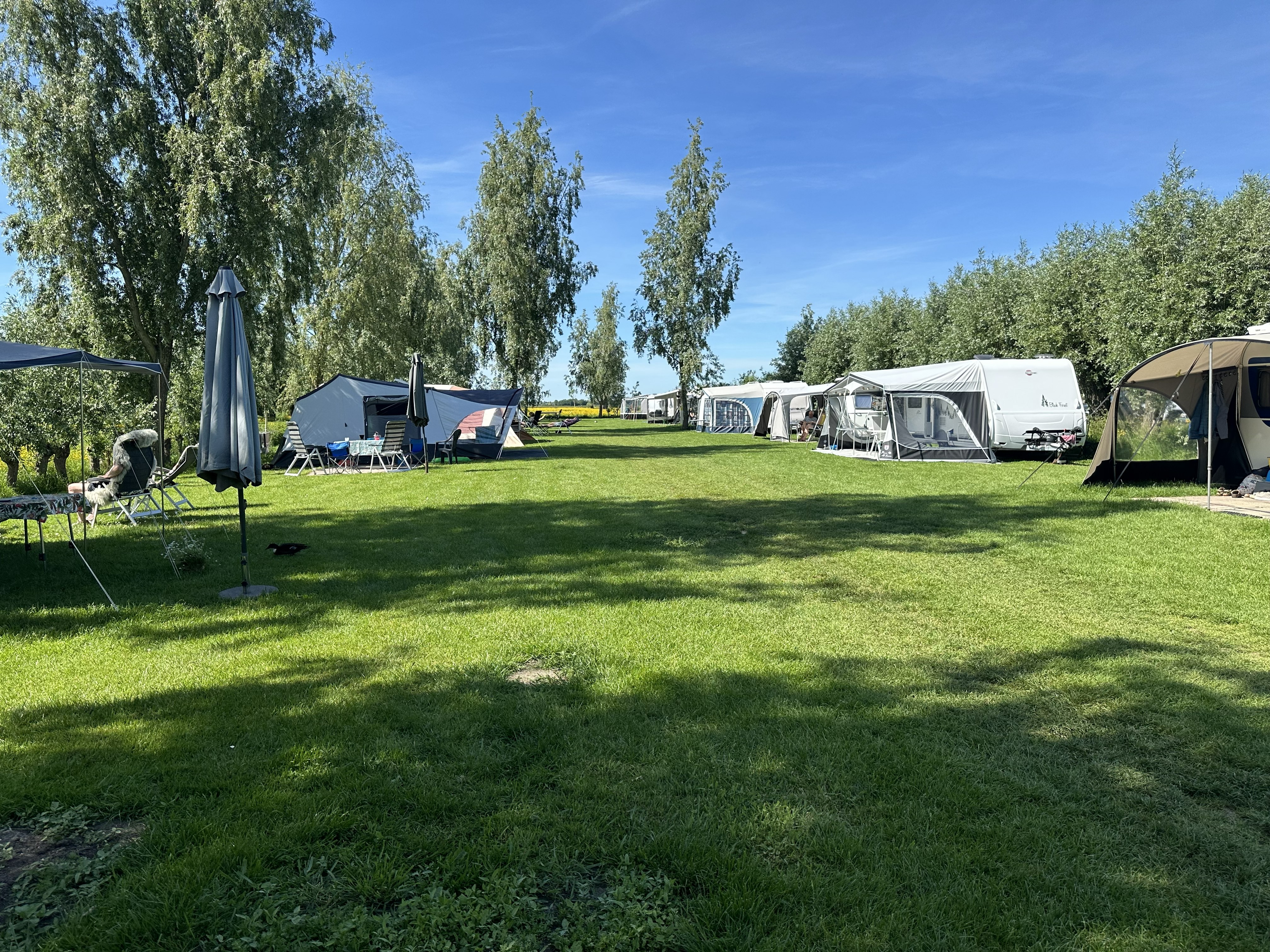 De mooiste campings in Utrecht — met Wilgenwei in de spotlight