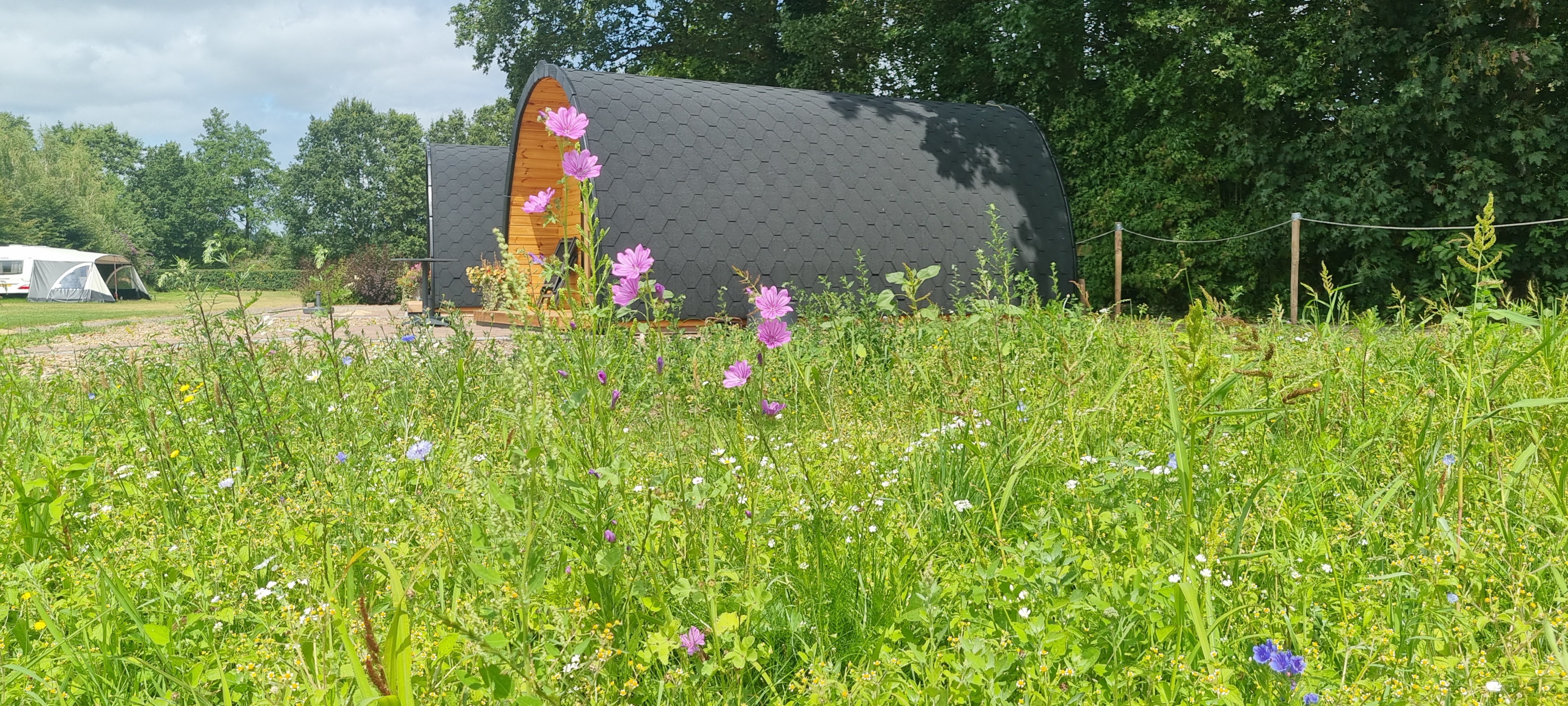 'T Lintert Beauty Beleving Buitenleven (6)