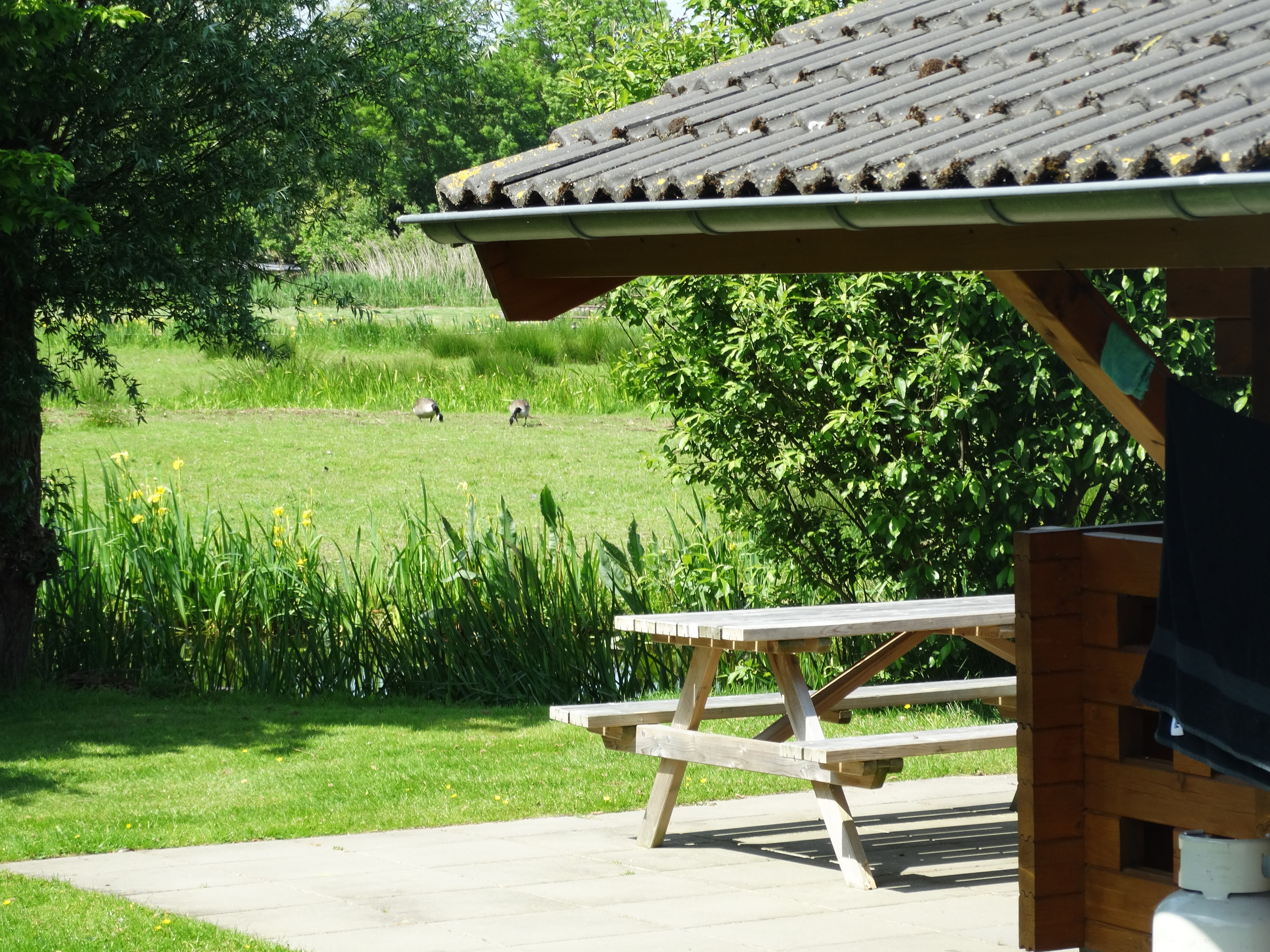 Camping d'Hof (1)