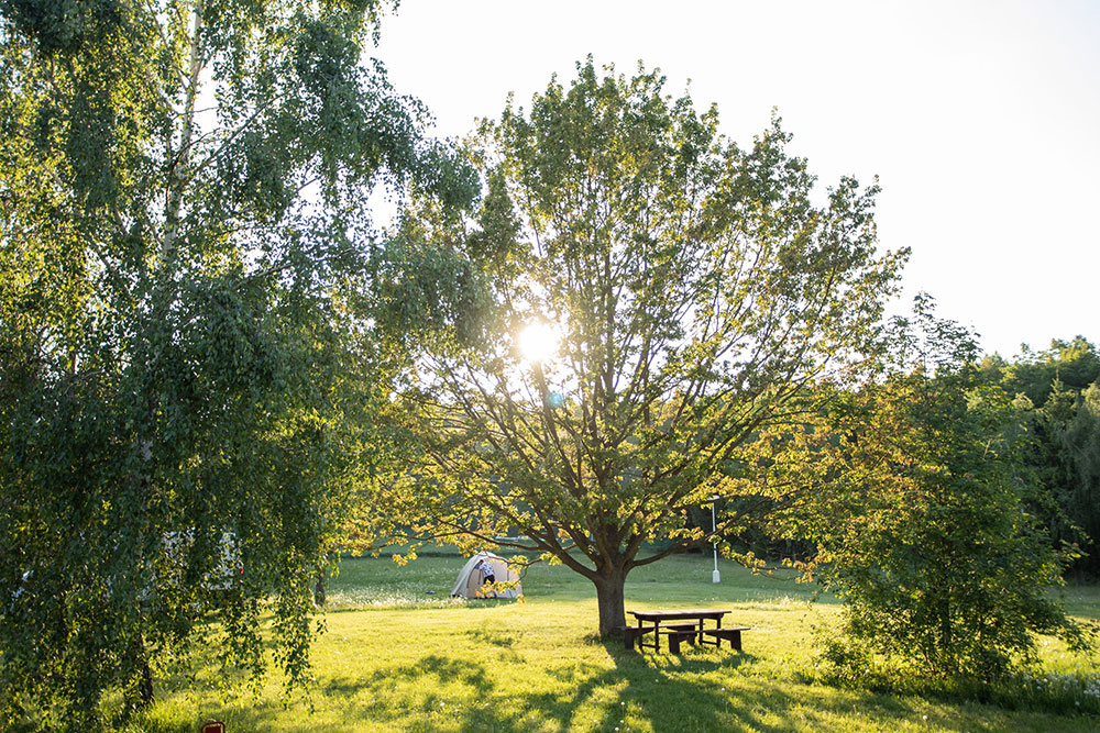 Prague Camping Dzban (3)