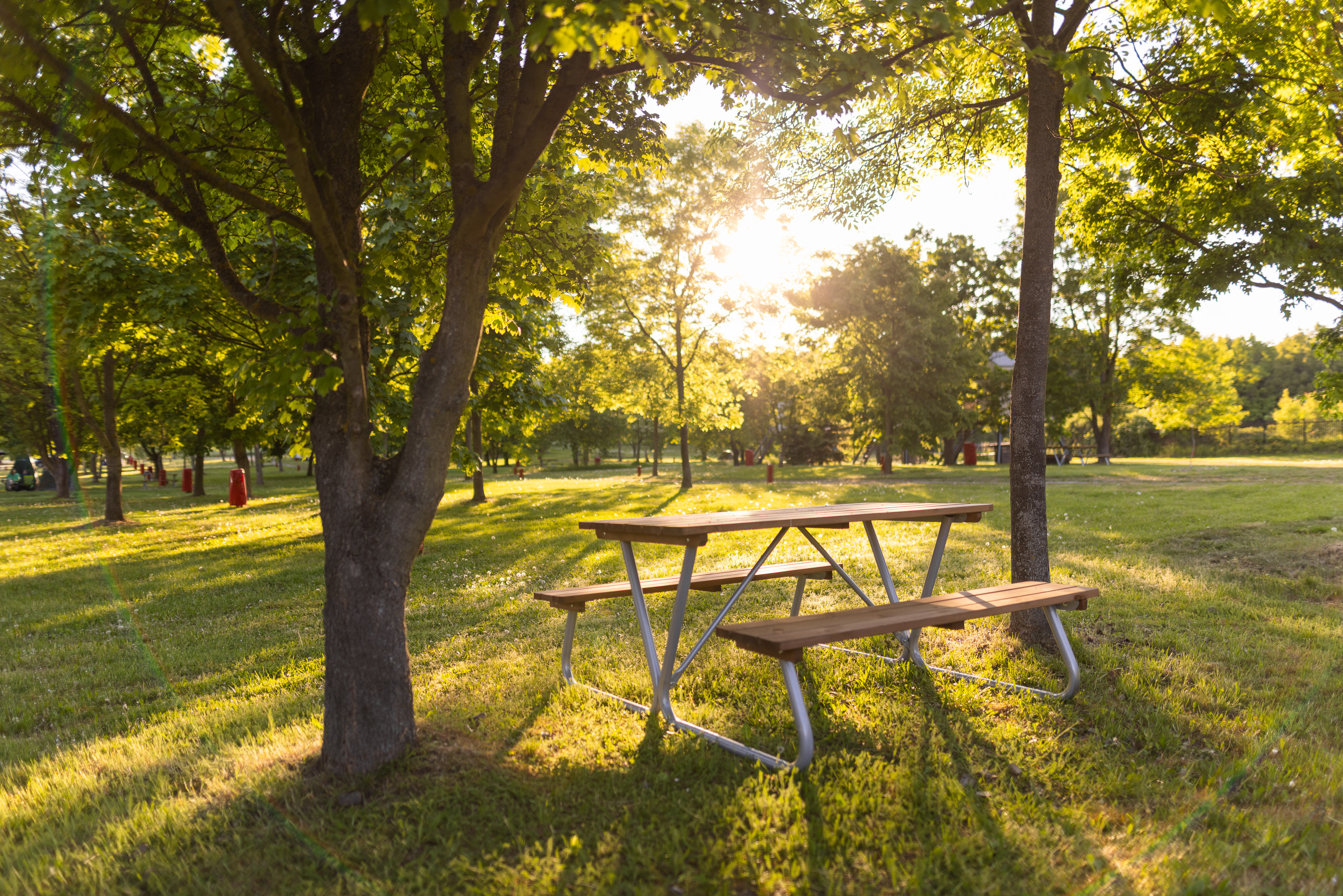 Prague Camping Dzban (7)