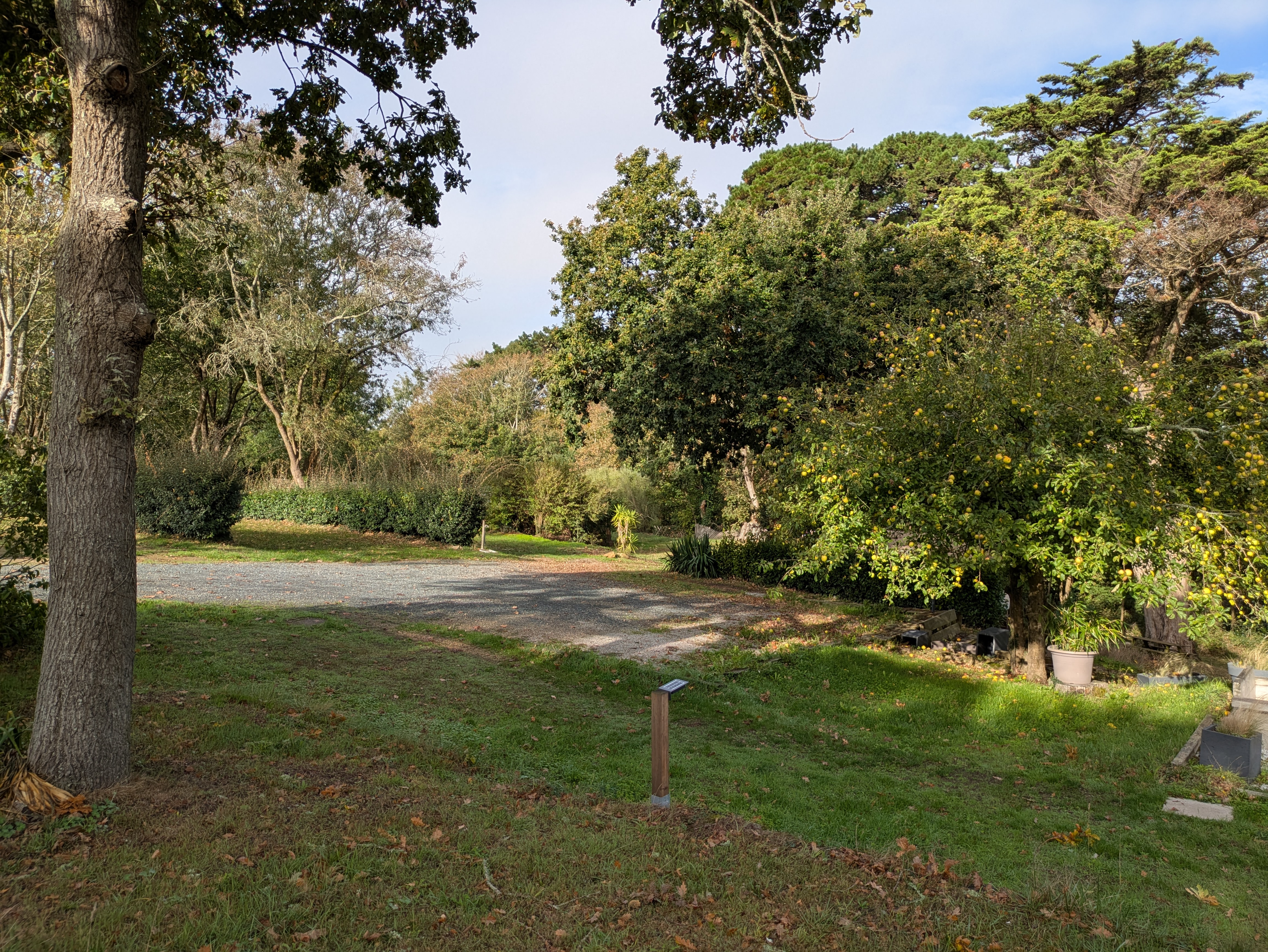 Camping Le Bois de Locquéran (2)
