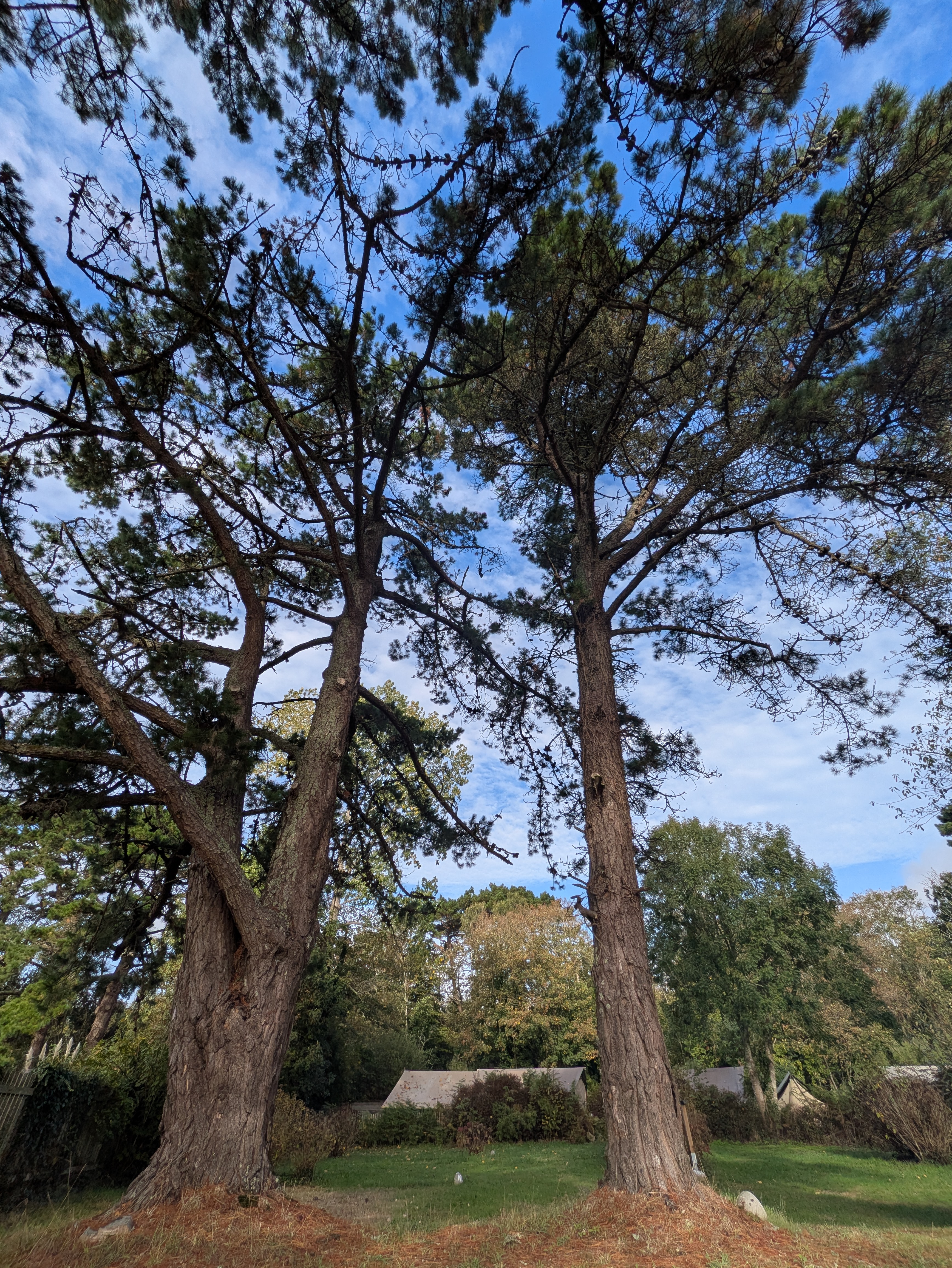 Camping Le Bois de Locquéran (3)
