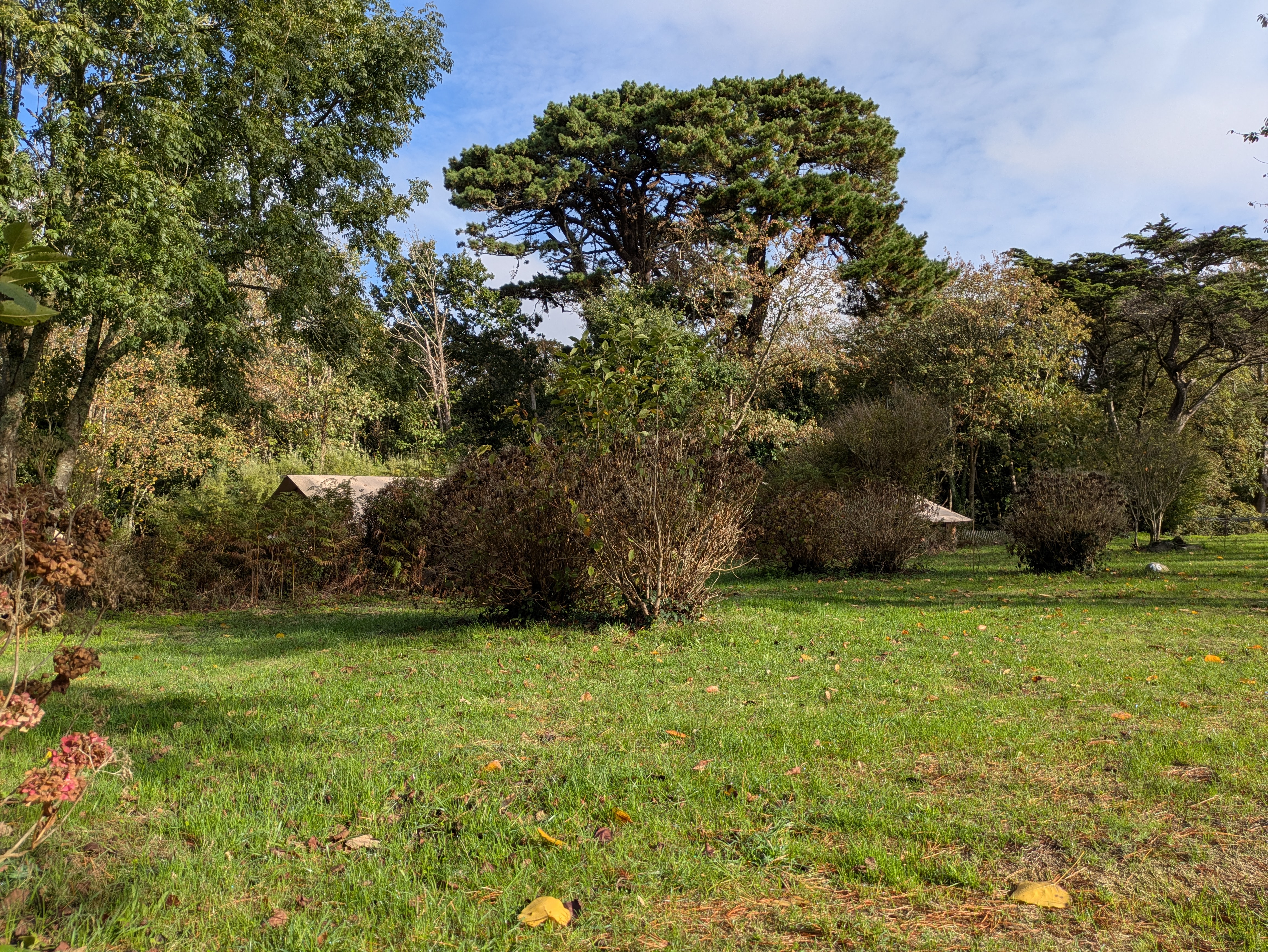 Camping Le Bois de Locquéran (4)