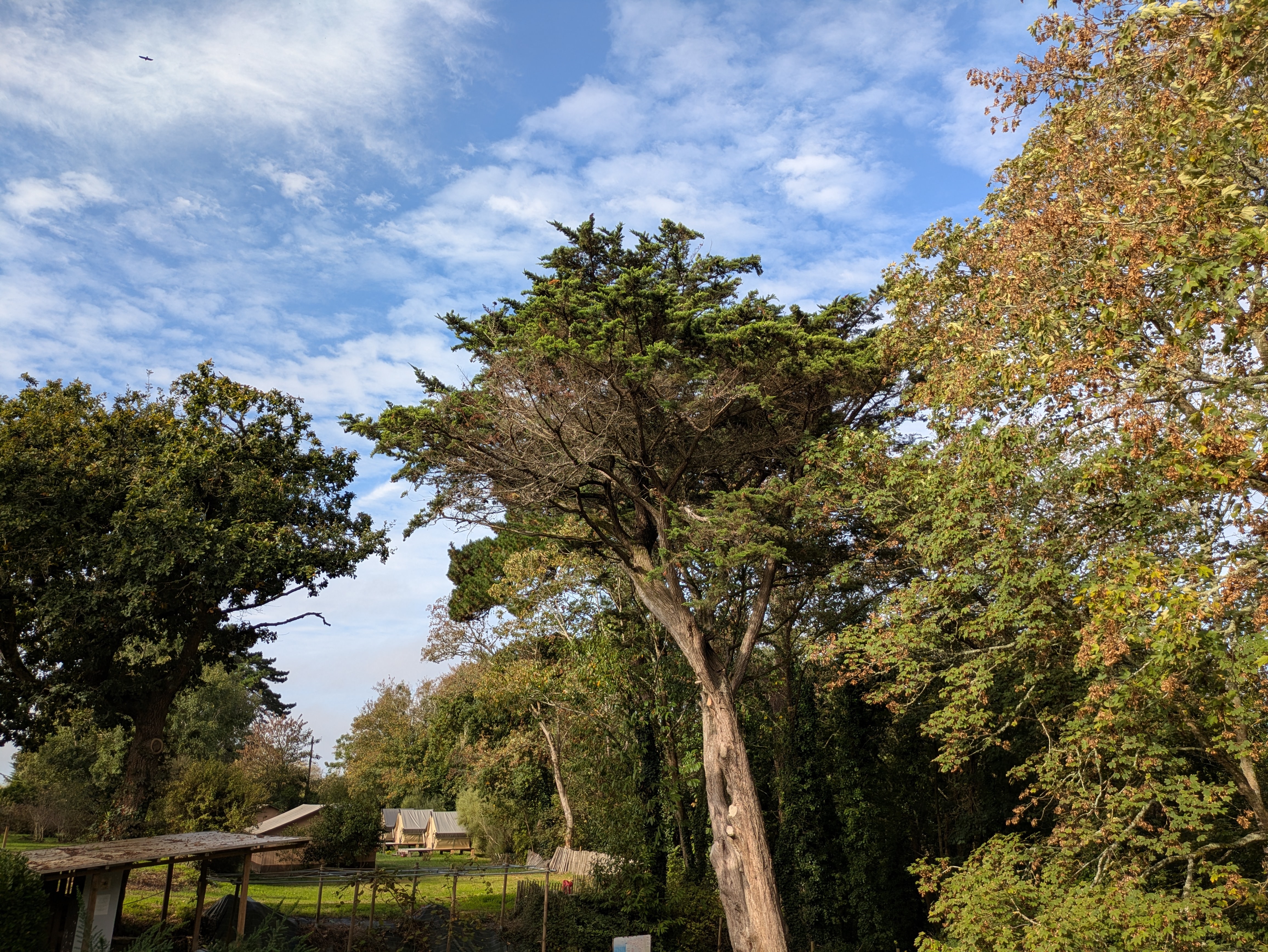 Camping Le Bois de Locquéran (5)