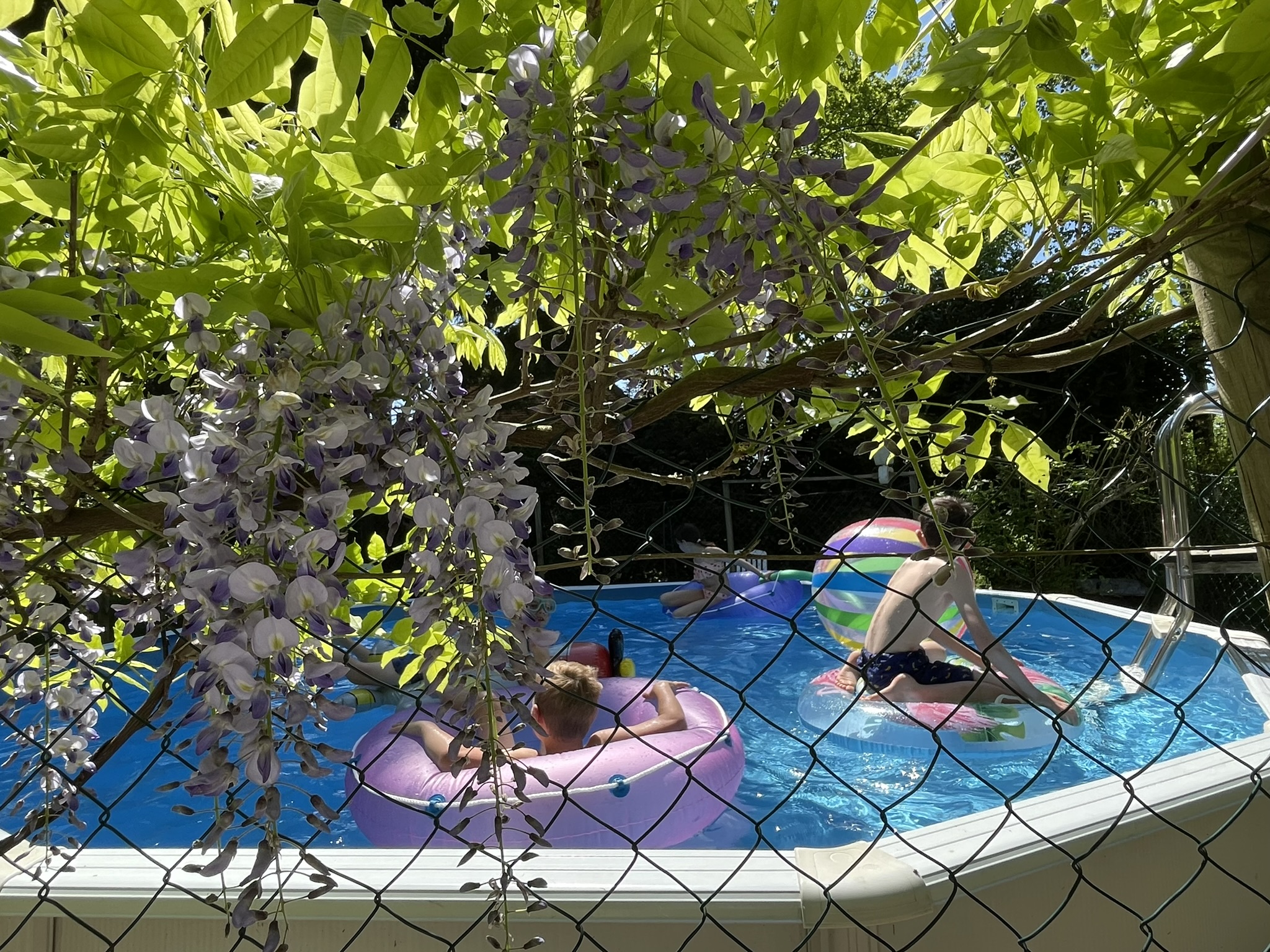 Camping Les Arbois (3)
