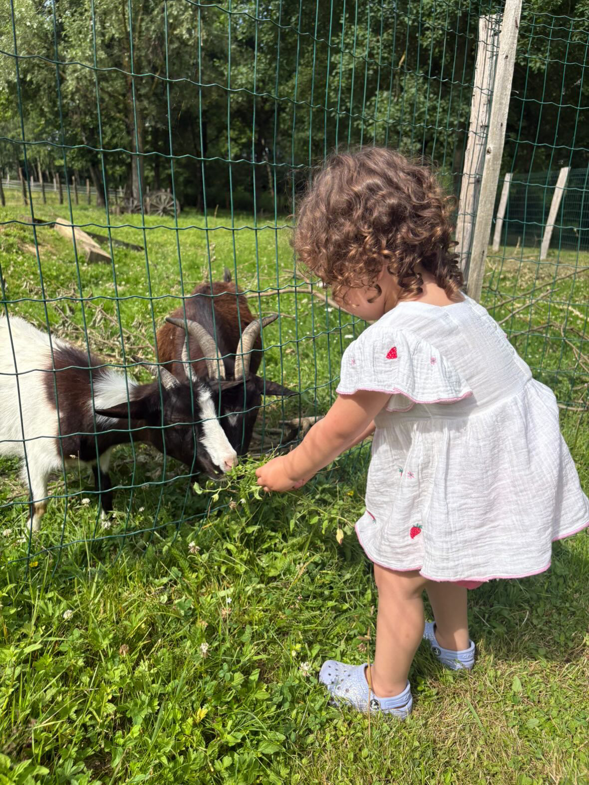Camping Les Arbois (7)