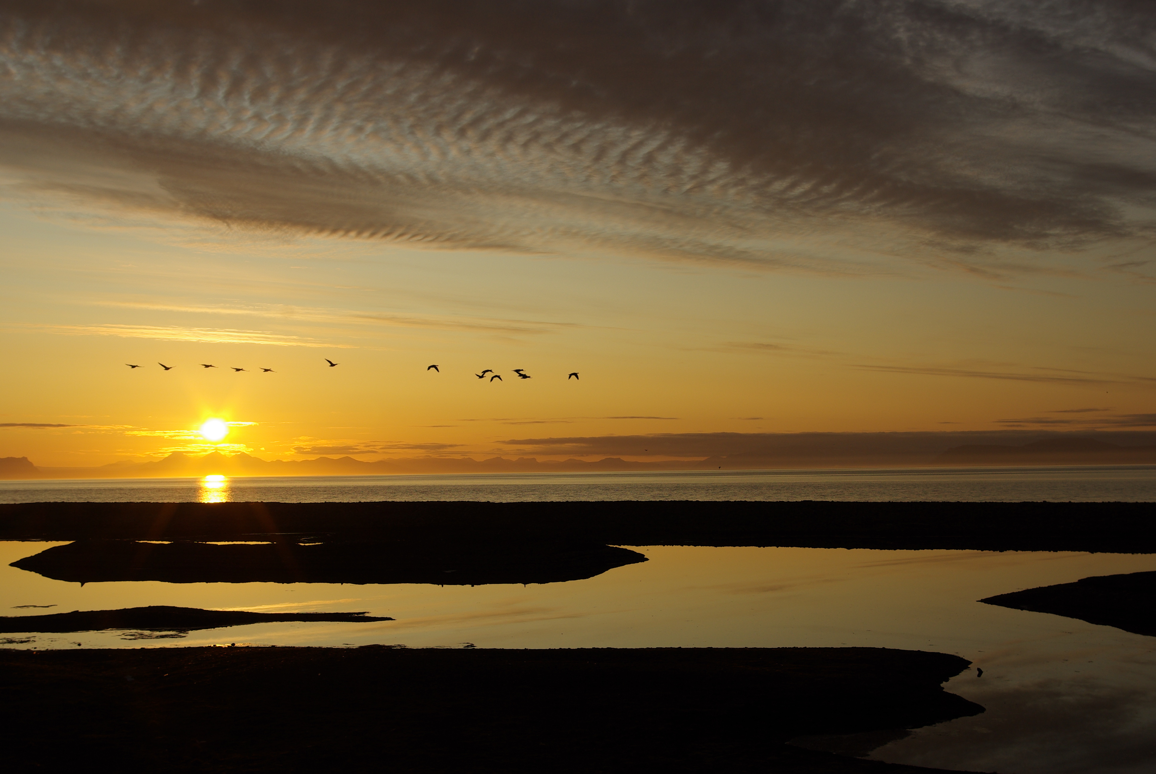 Longyearbyen Camping (5)