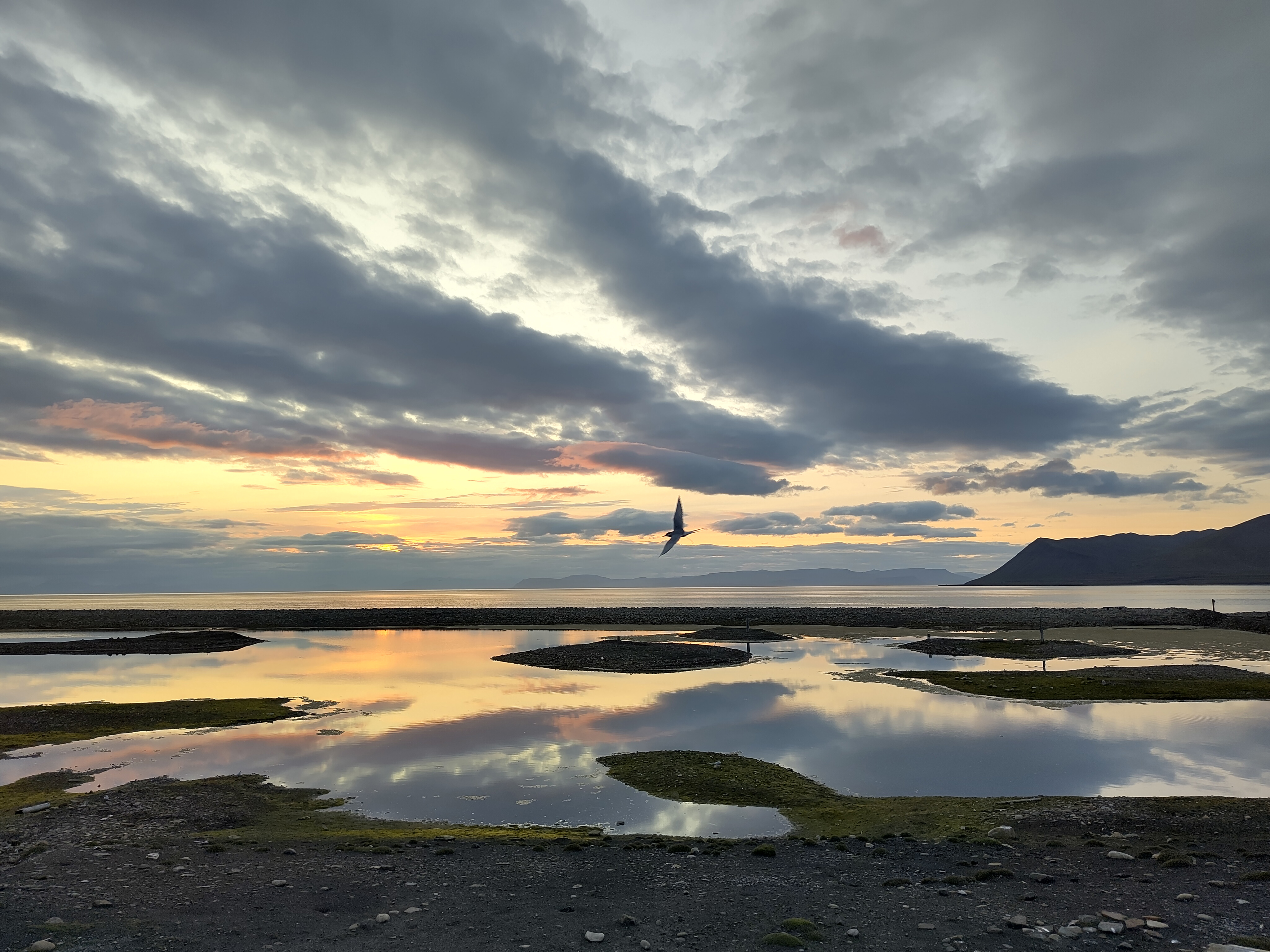 Longyearbyen Camping (7)